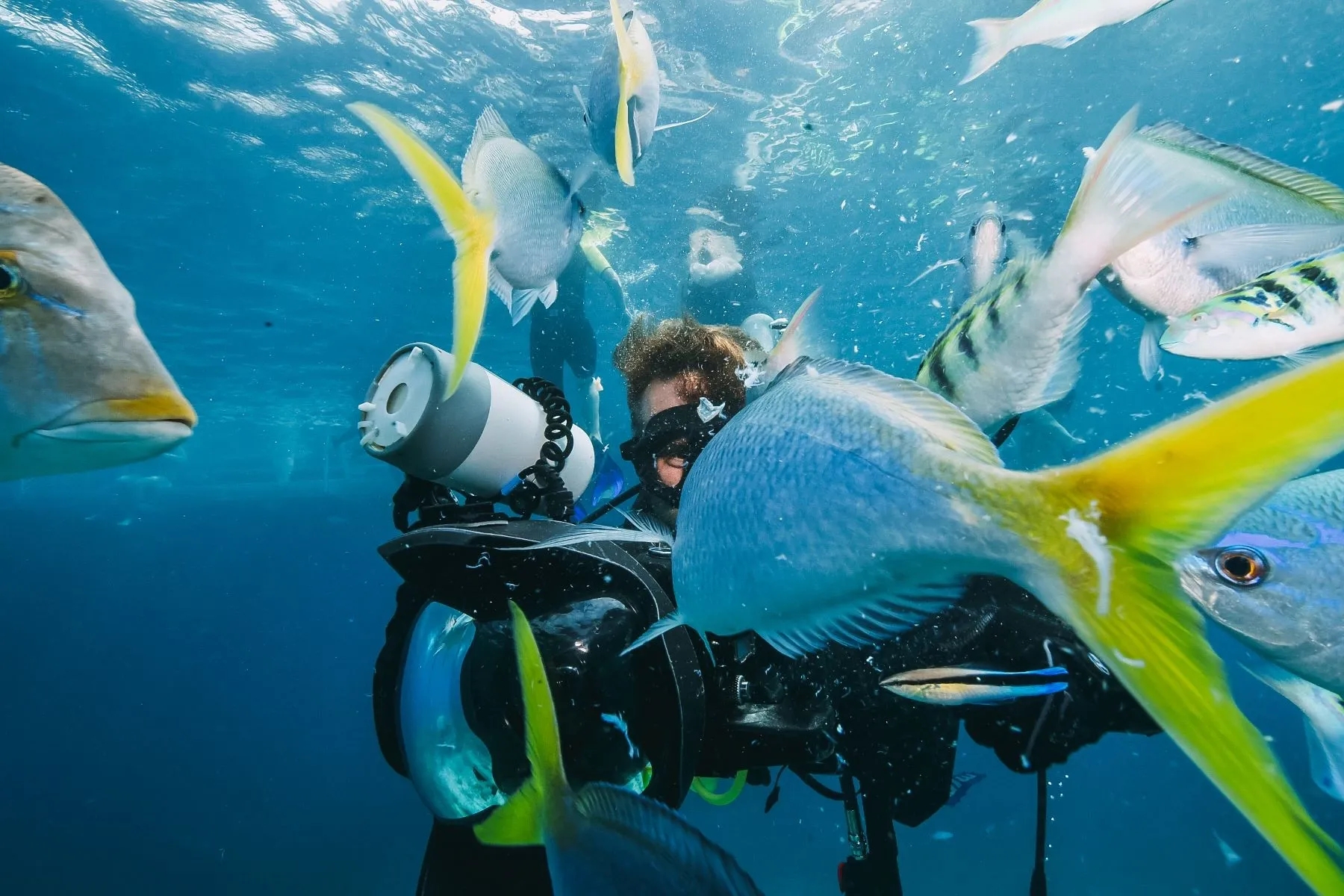 buvarkodas-sharm-el-sheikh.webp