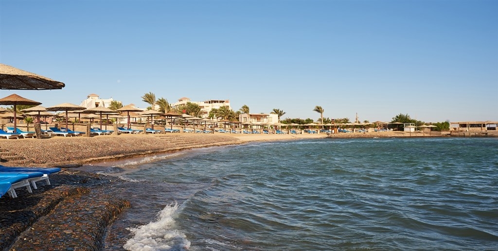 Sea Star Beau Rivage23