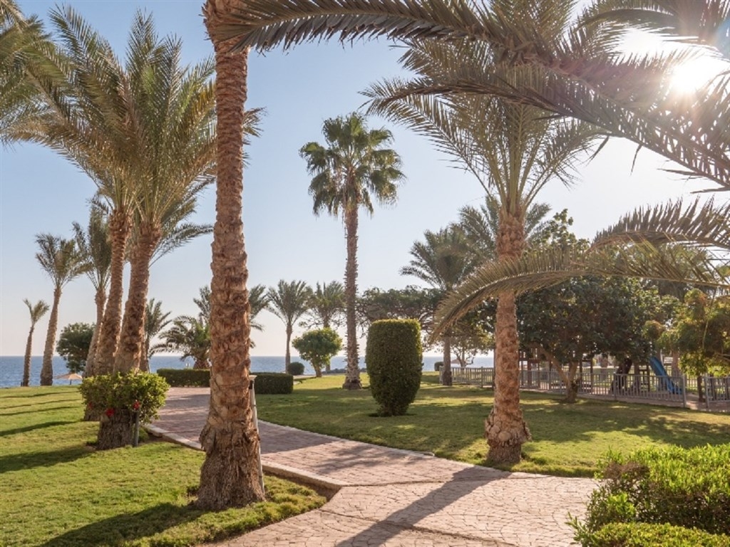 Serenity Alpha Beach (ex Serenity Makadi Beach Resort)27