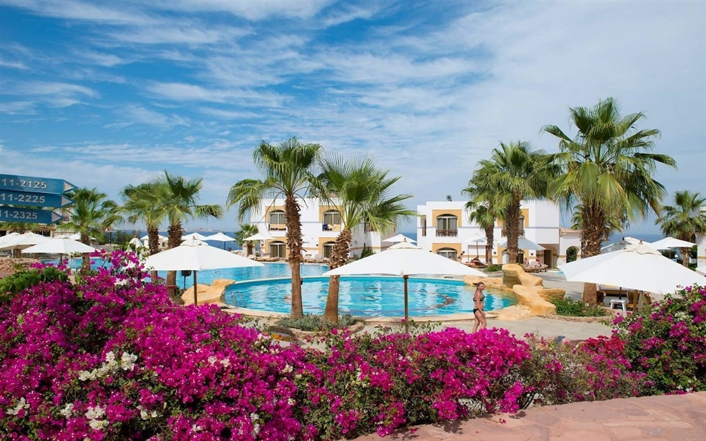 Amphoras Blu (ex.Shores Aloha)1