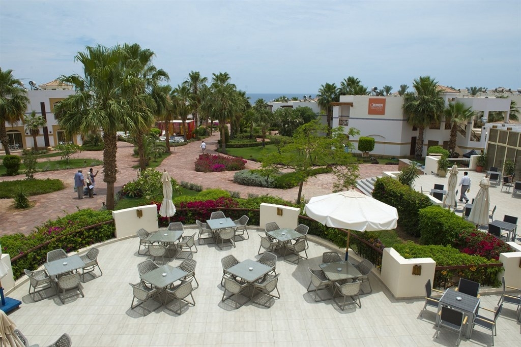 Amphoras Blu (ex.Shores Aloha)11