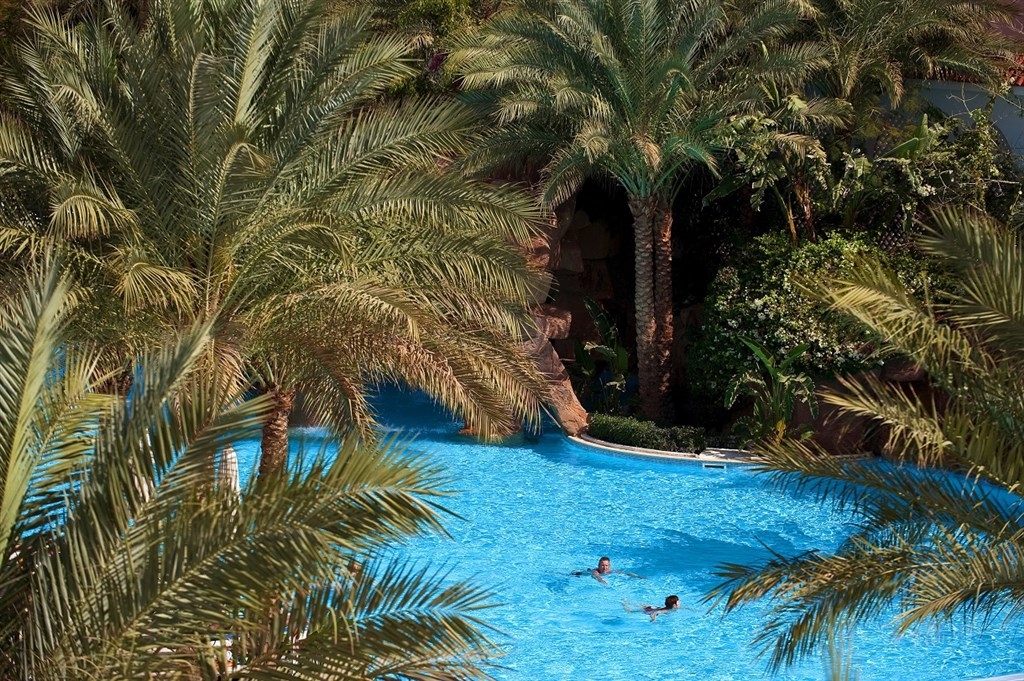 Baron Palms11