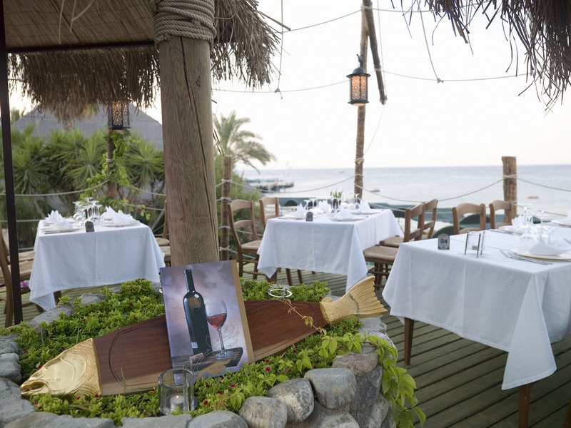 Gypsophila Club Marine19