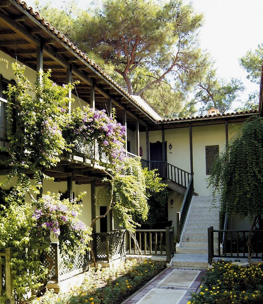 Gypsophila Club Marine5