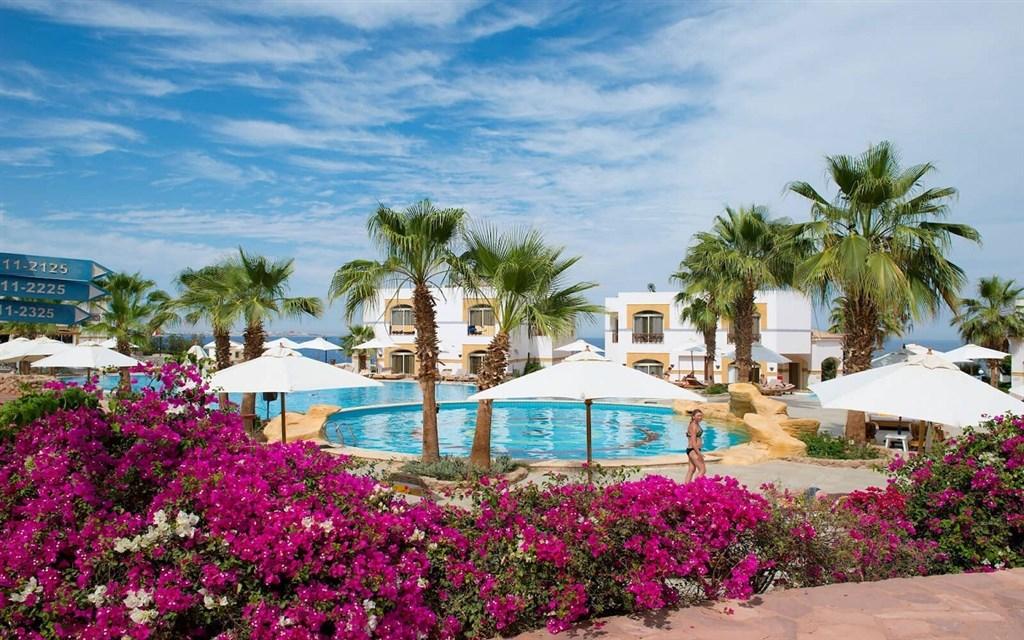 Amphoras Blu (ex.Shores Aloha)1