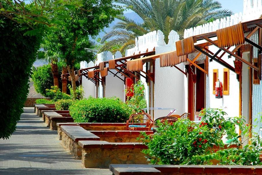 Kairó + Albatros Sharm Resort (ex Pickalbatros Beach Albatros Resort)1