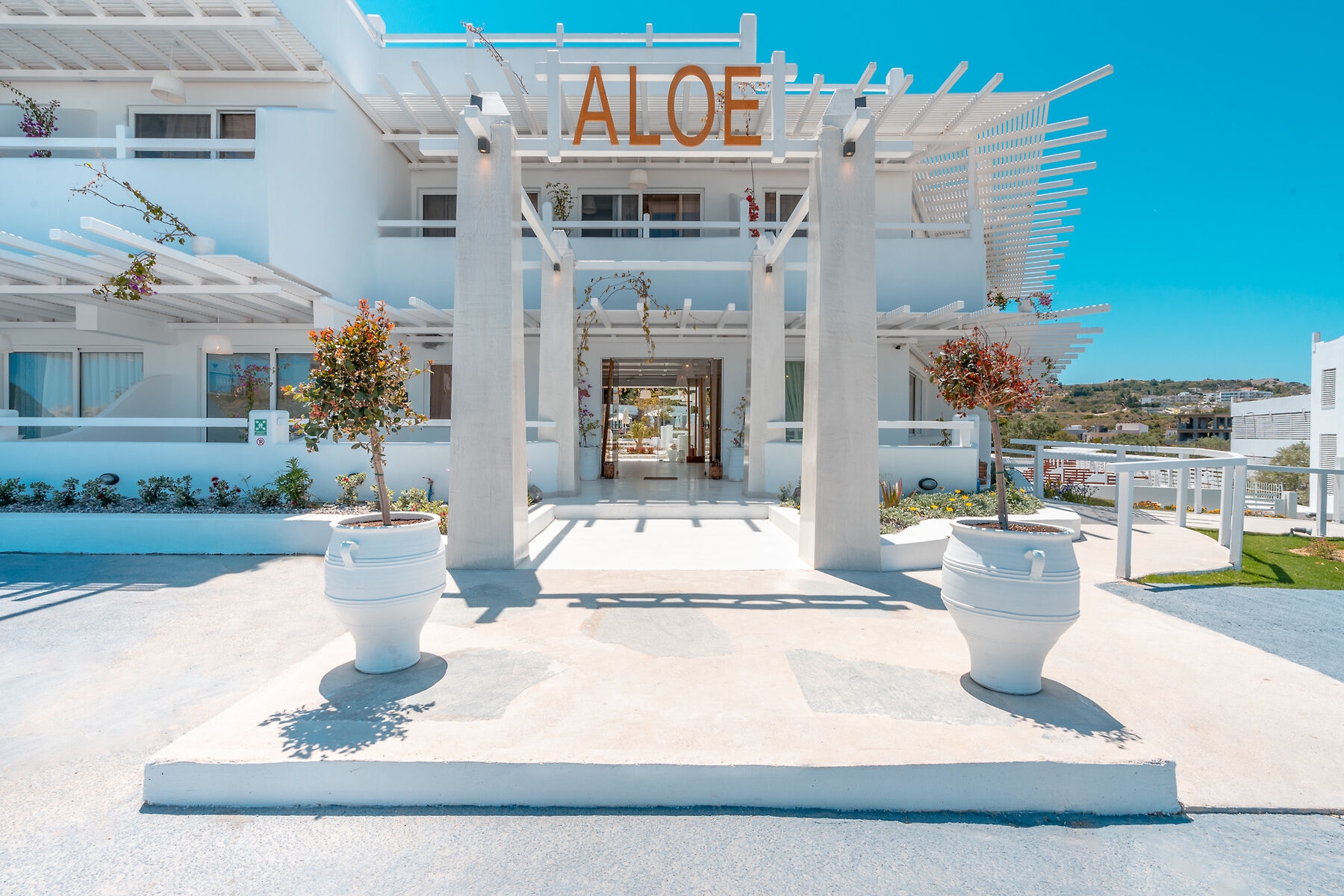 Aloe18