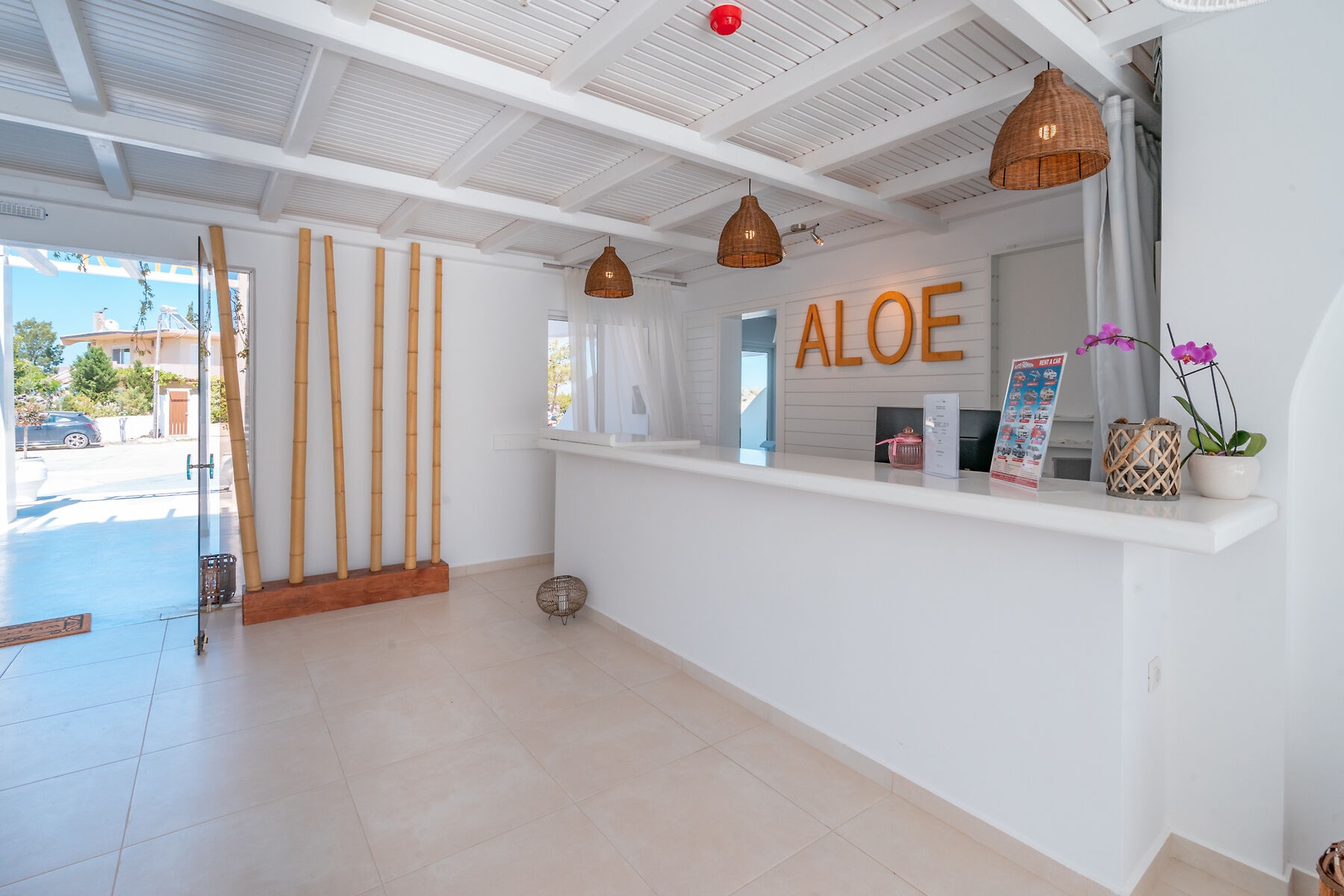 Aloe12
