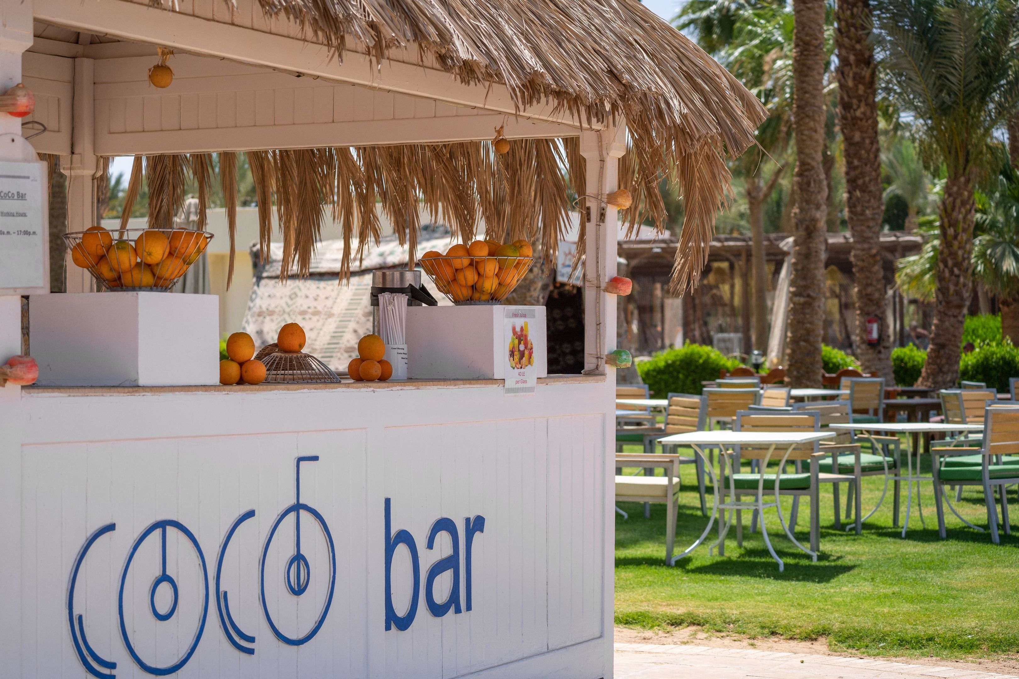 Jaz Royal Palmariva (ex. Labranda Royal Makadi)24