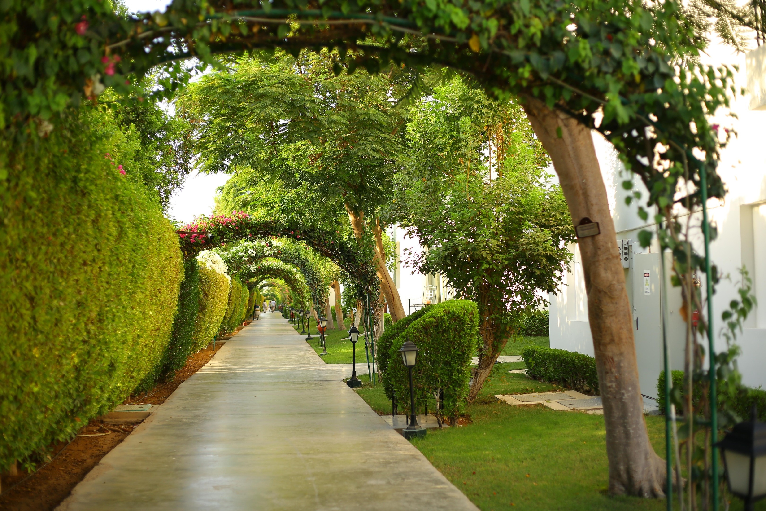 Jaz Fanara Resort & Residence39