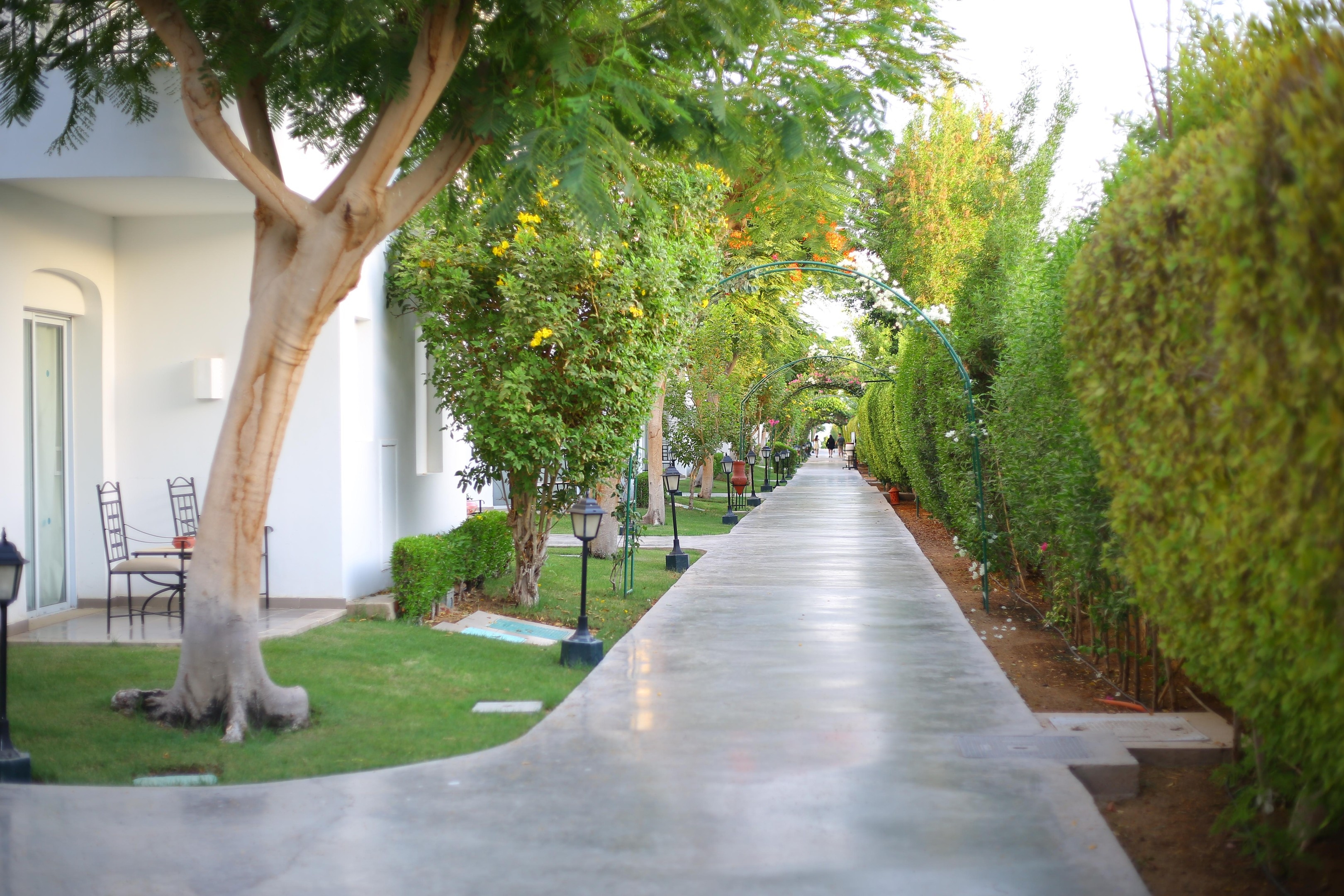 Jaz Fanara Resort & Residence46