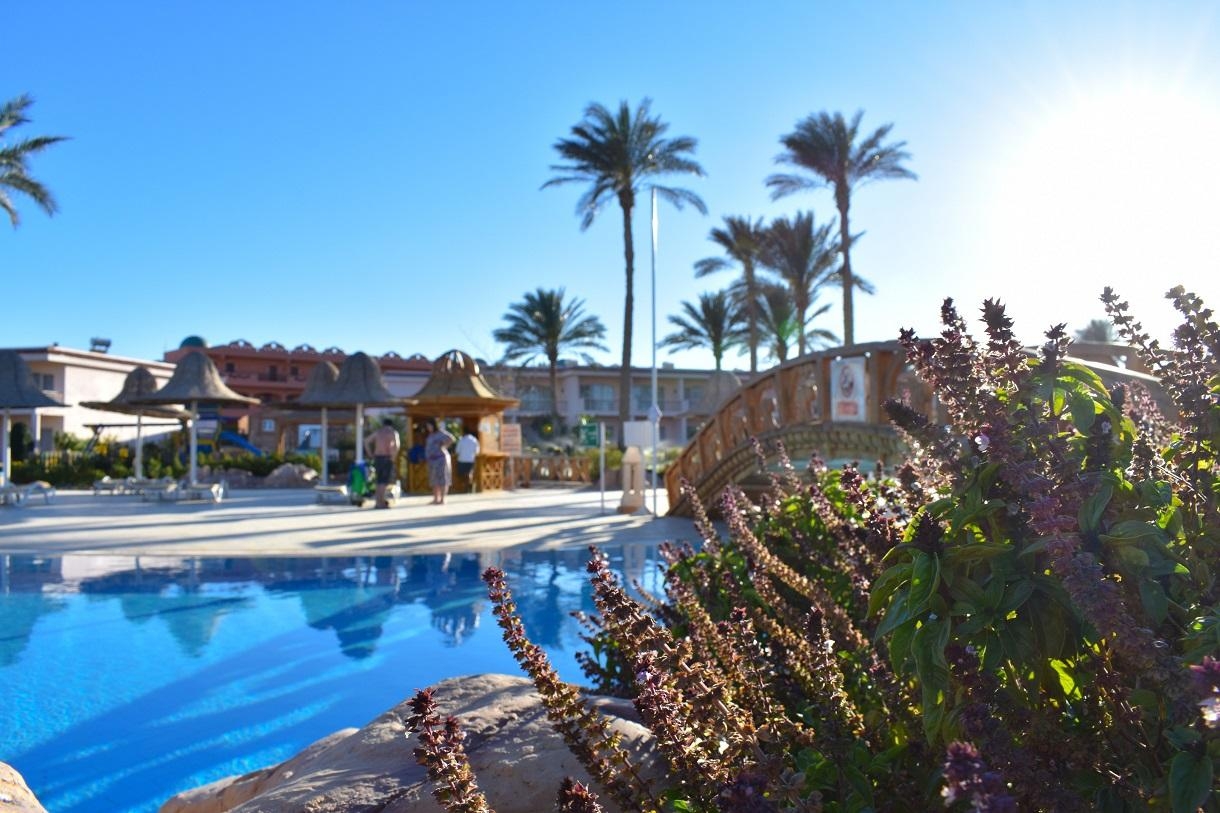 Parrotel Beach Resort19