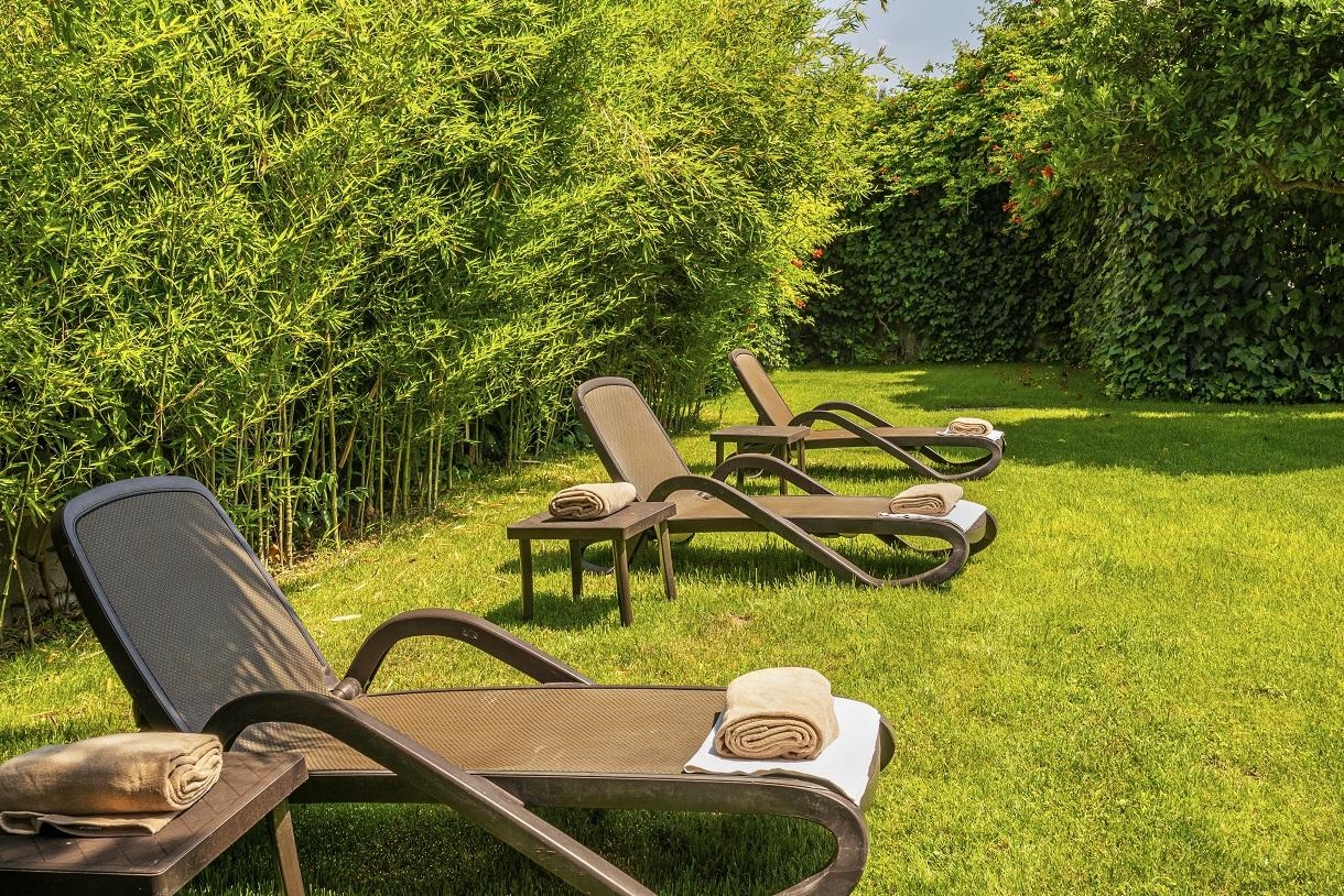 Dg Hotels Rose Resort18