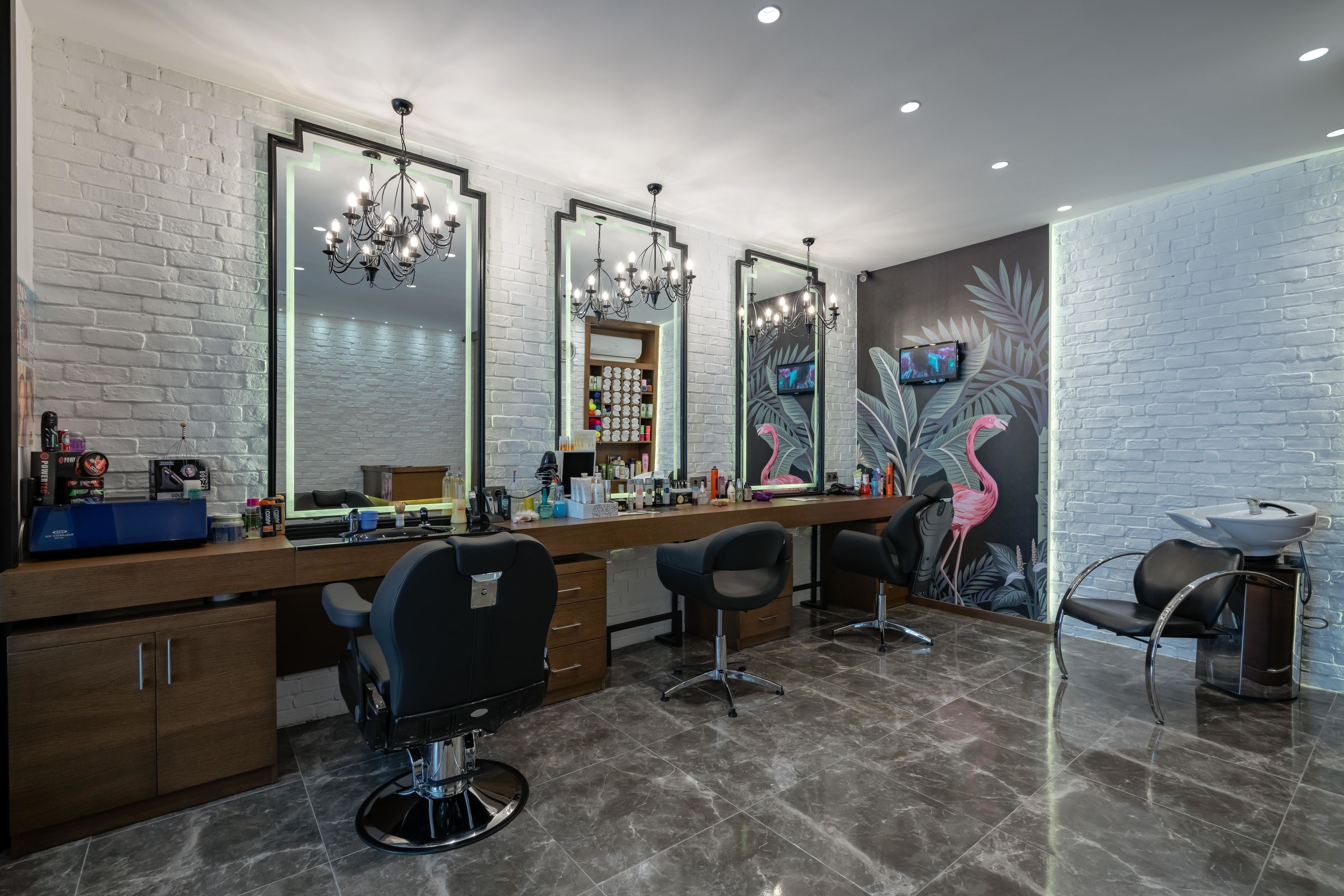 Papillon Belvil27