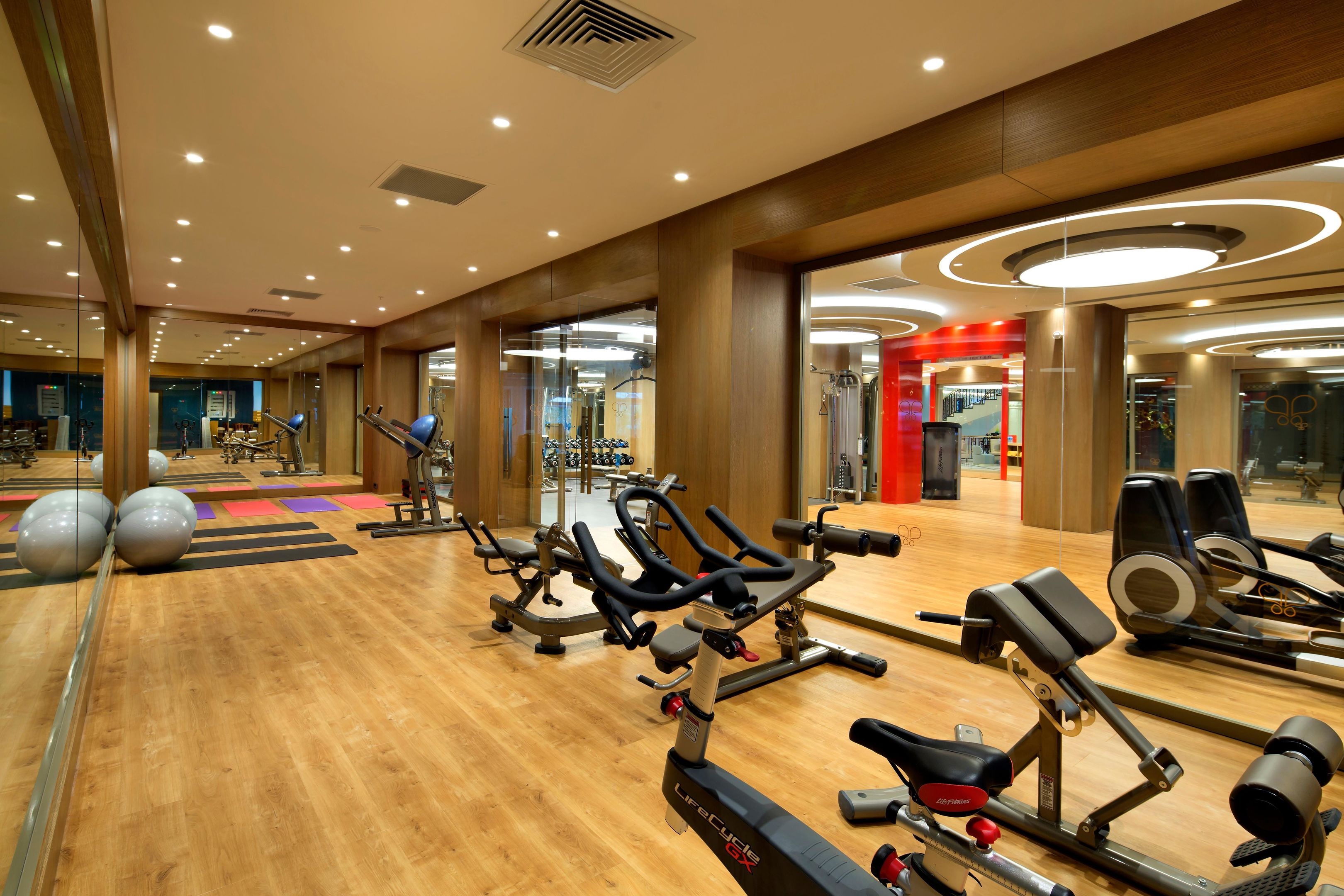 Papillon Zeugma Reluxury7