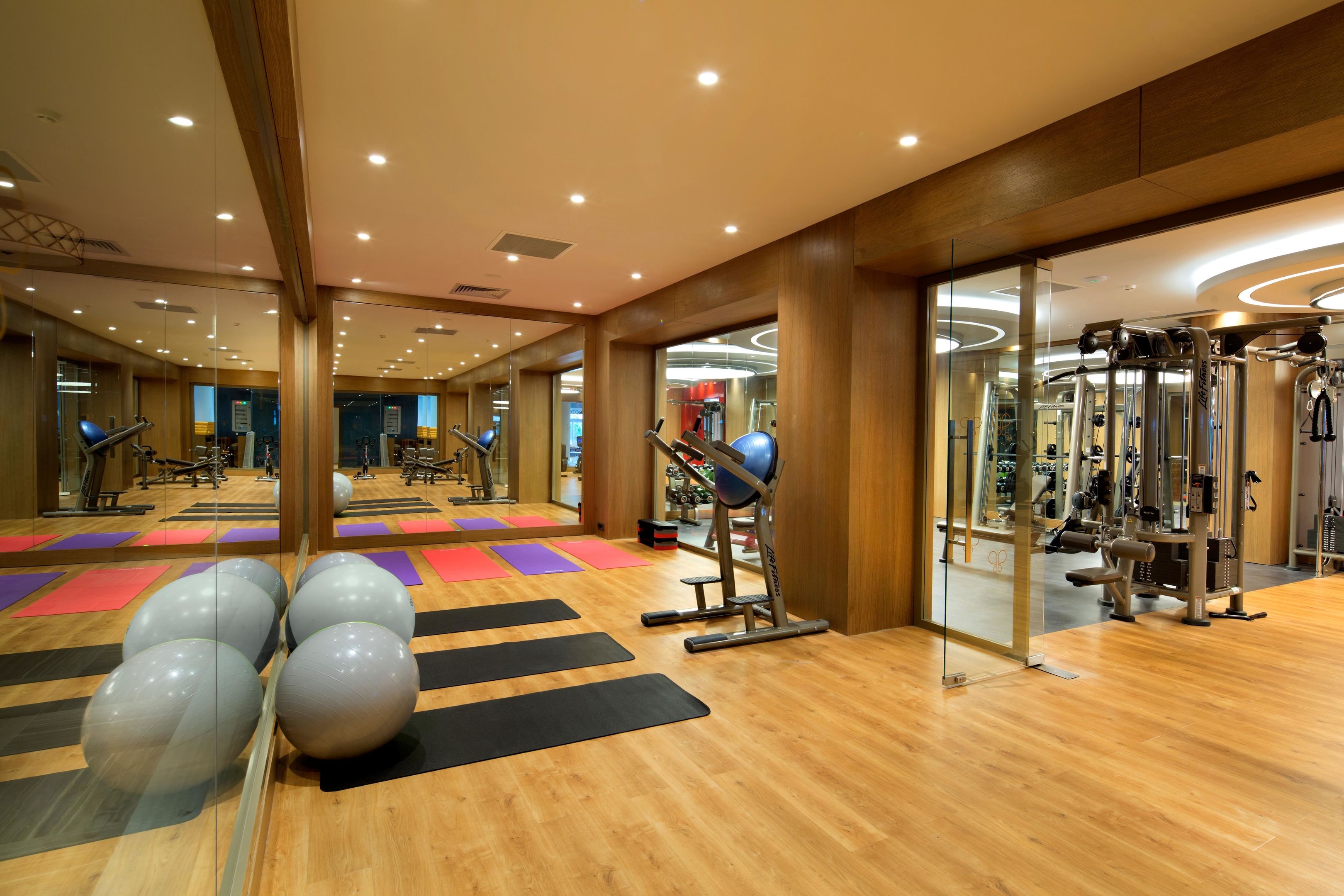 Papillon Zeugma Reluxury8