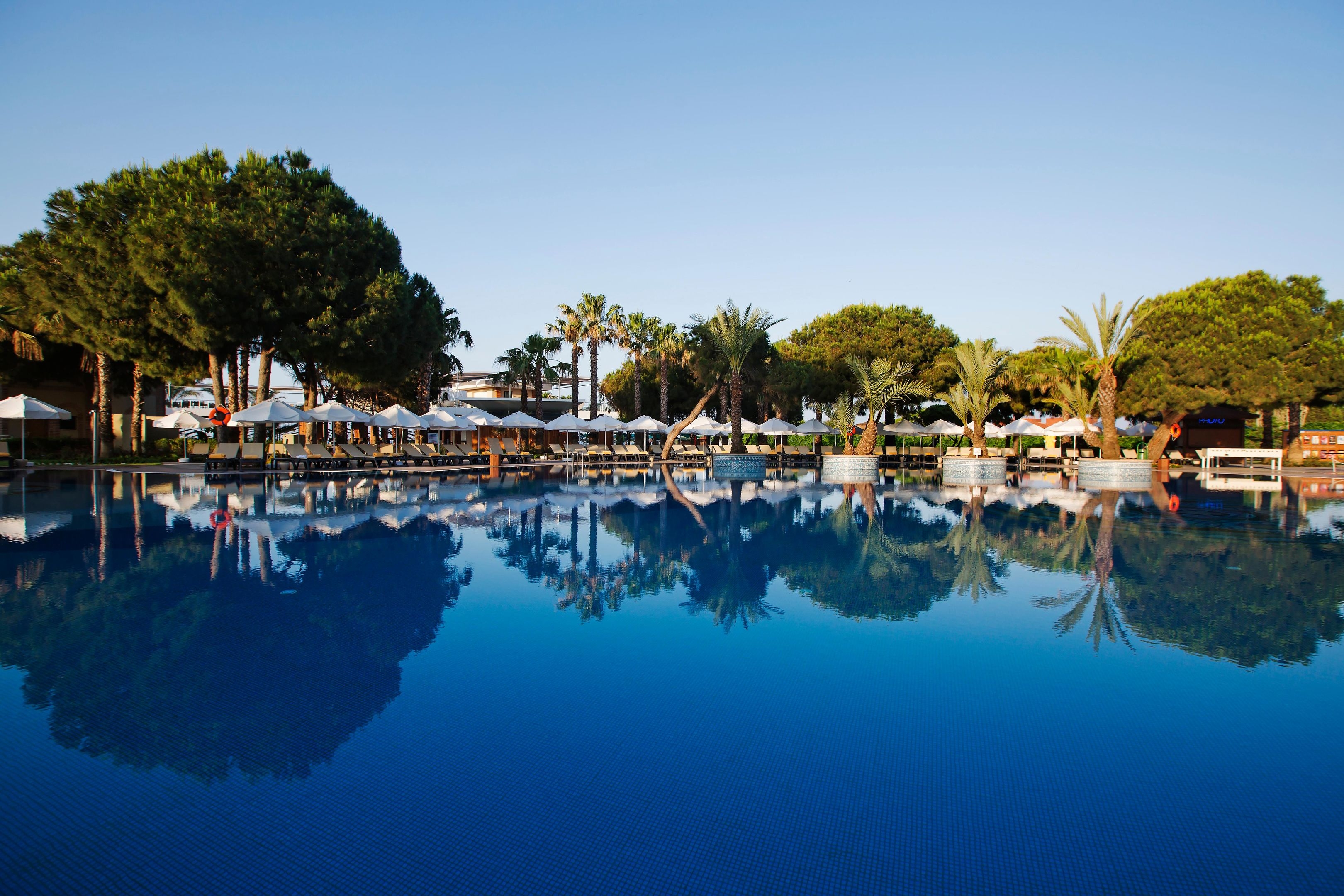 Papillon Zeugma Reluxury63