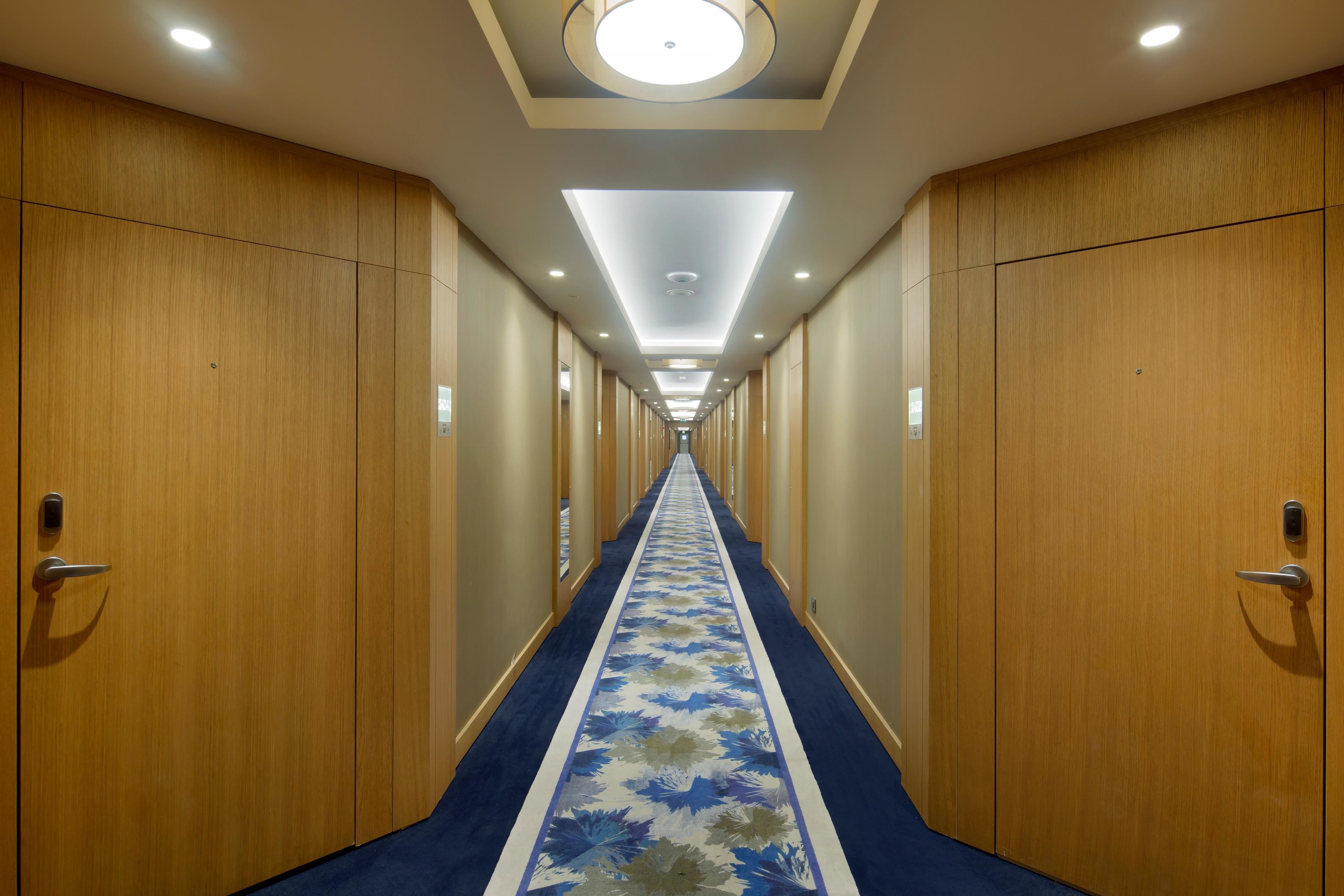 Papillon Zeugma Reluxury3