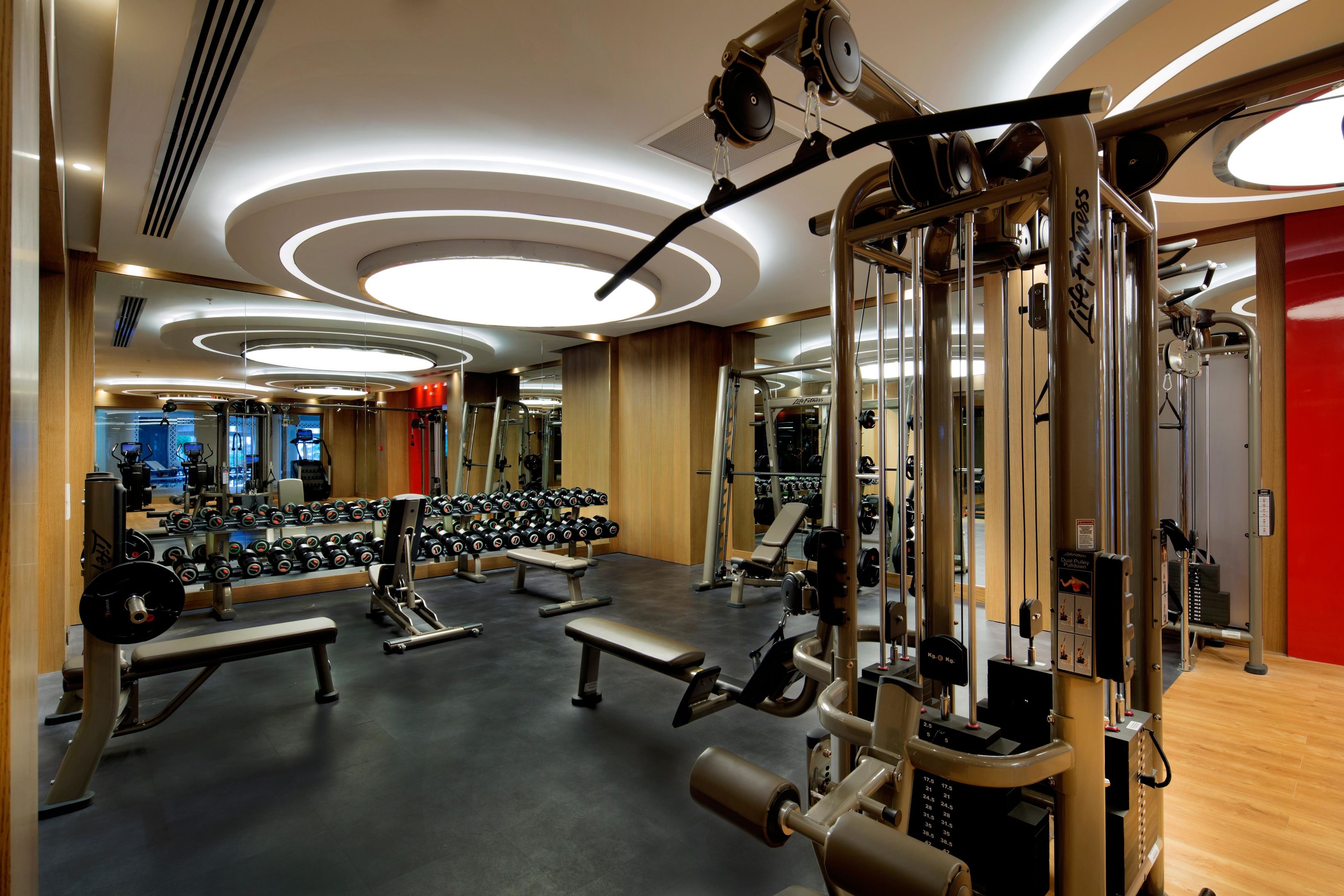 Papillon Zeugma Reluxury6