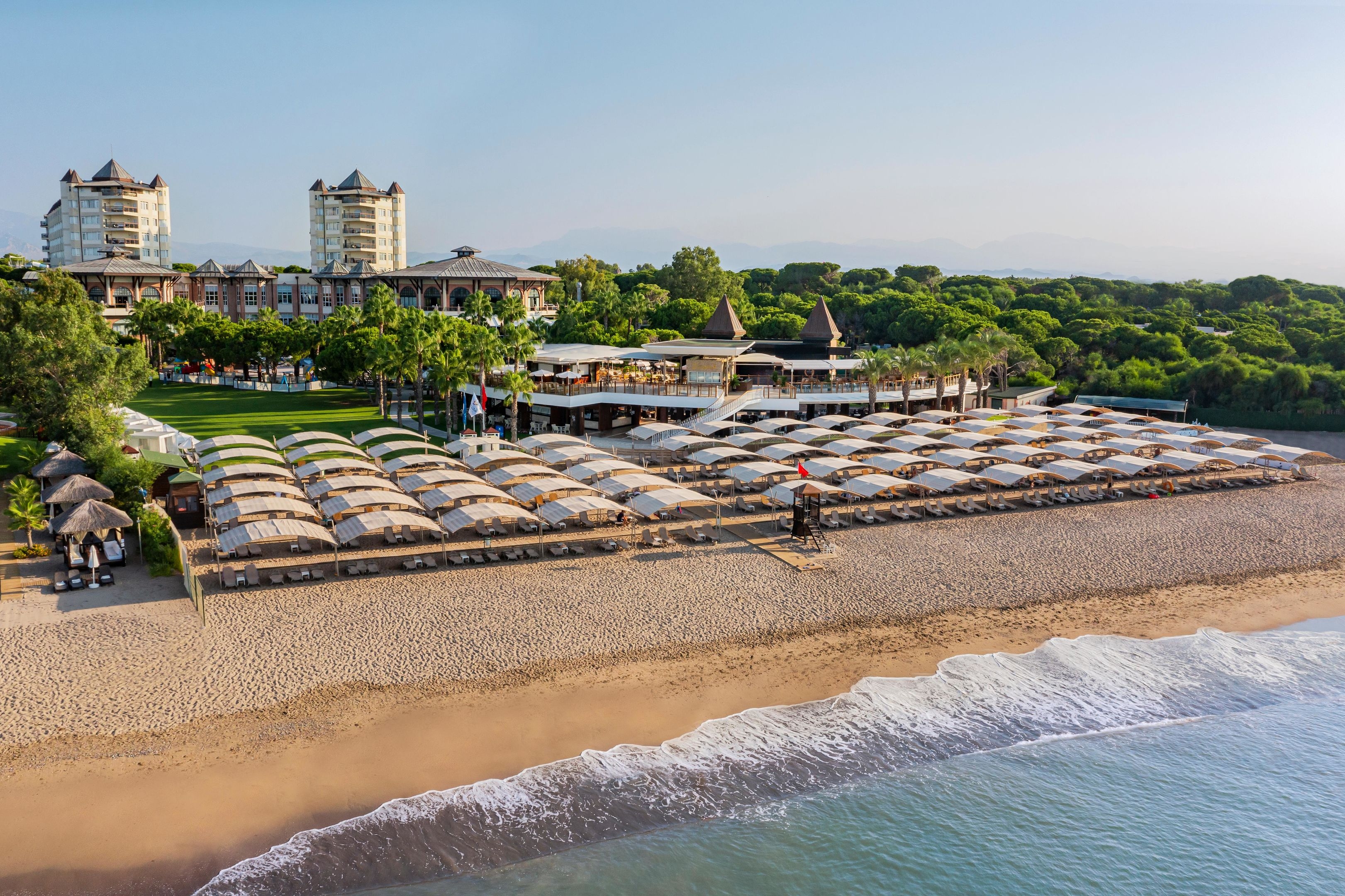 Papillon Zeugma Reluxury118