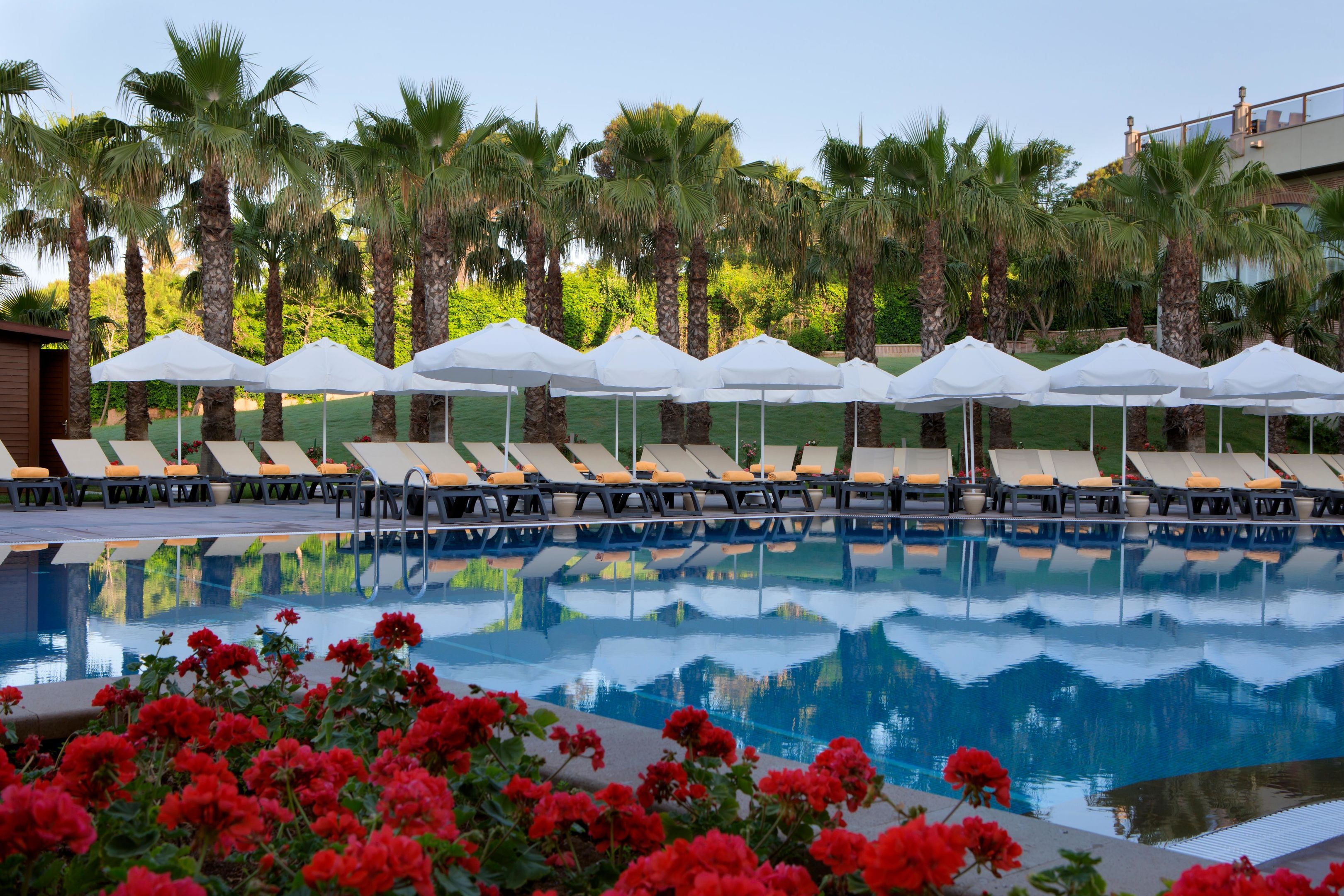 Papillon Zeugma Reluxury51
