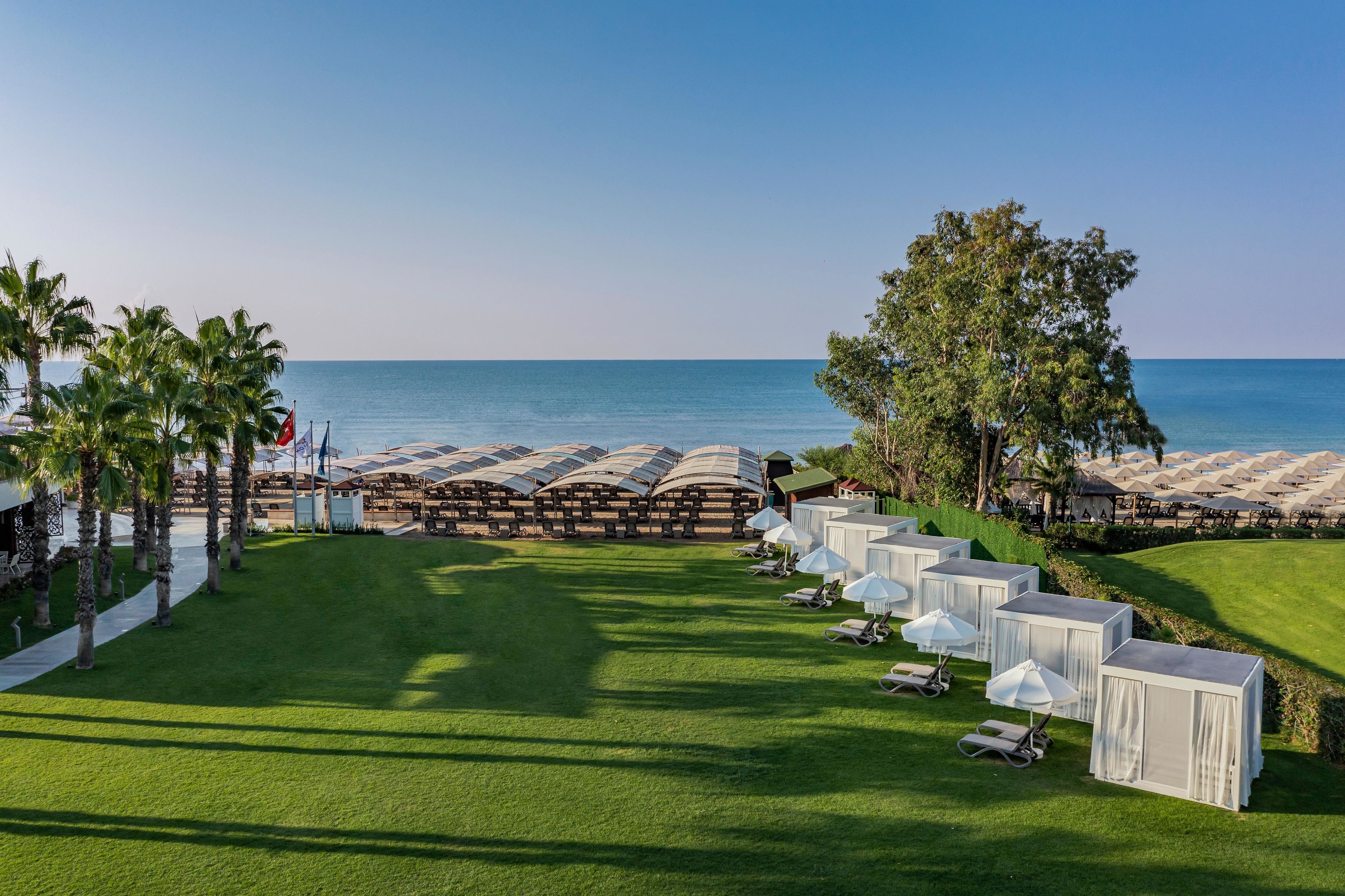 Papillon Zeugma Reluxury119