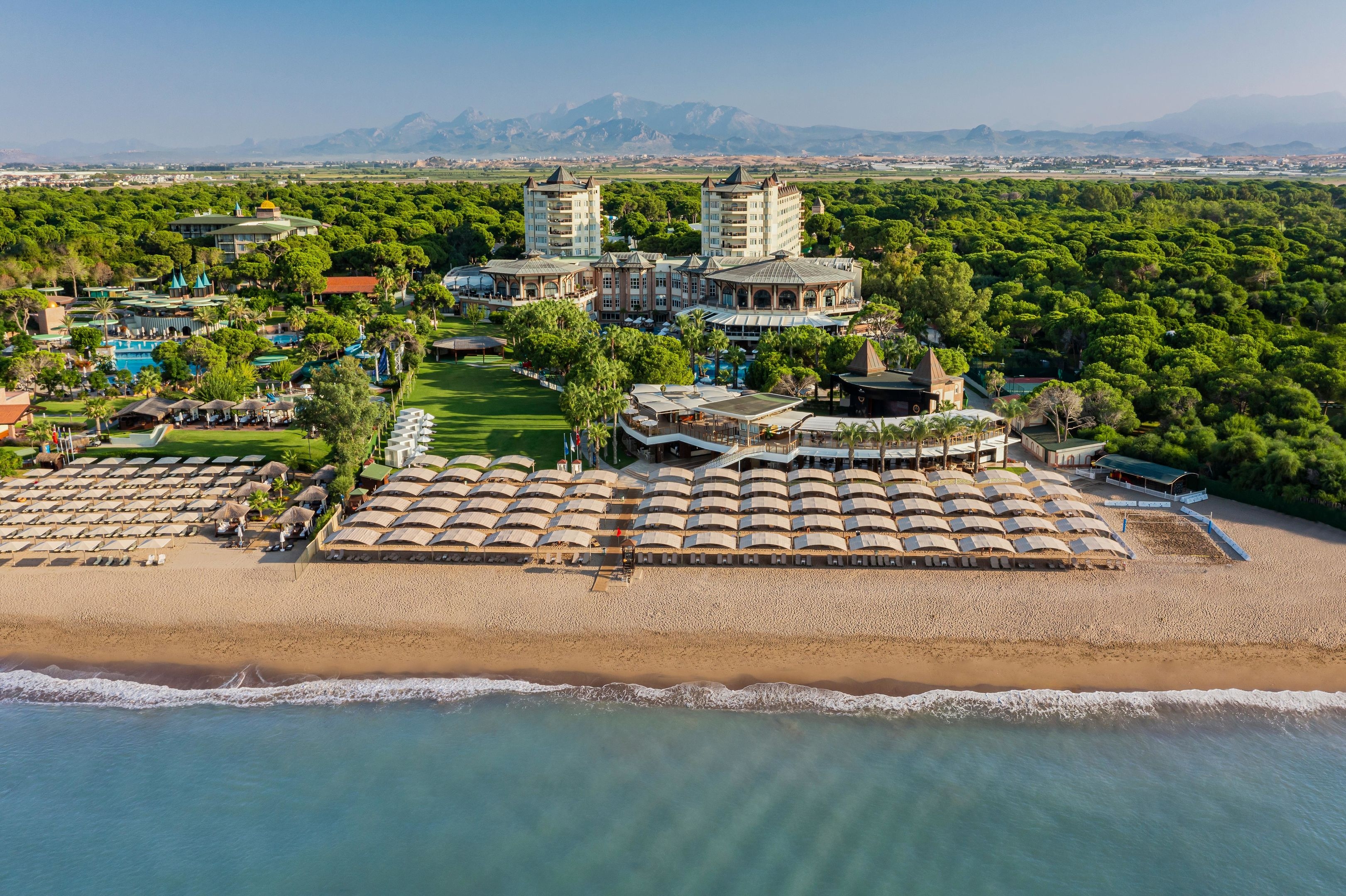 Papillon Zeugma Reluxury113