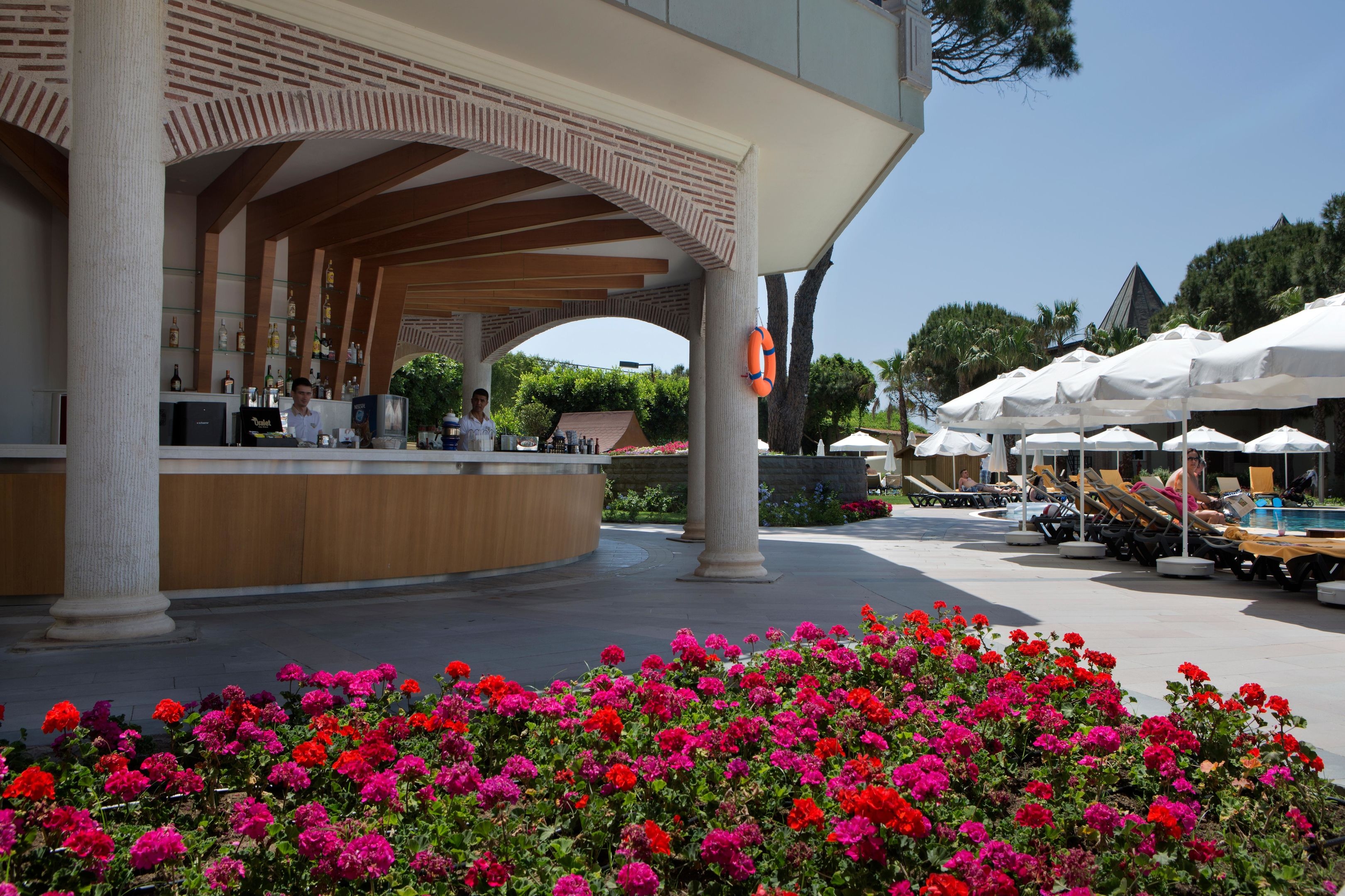 Papillon Zeugma Reluxury14