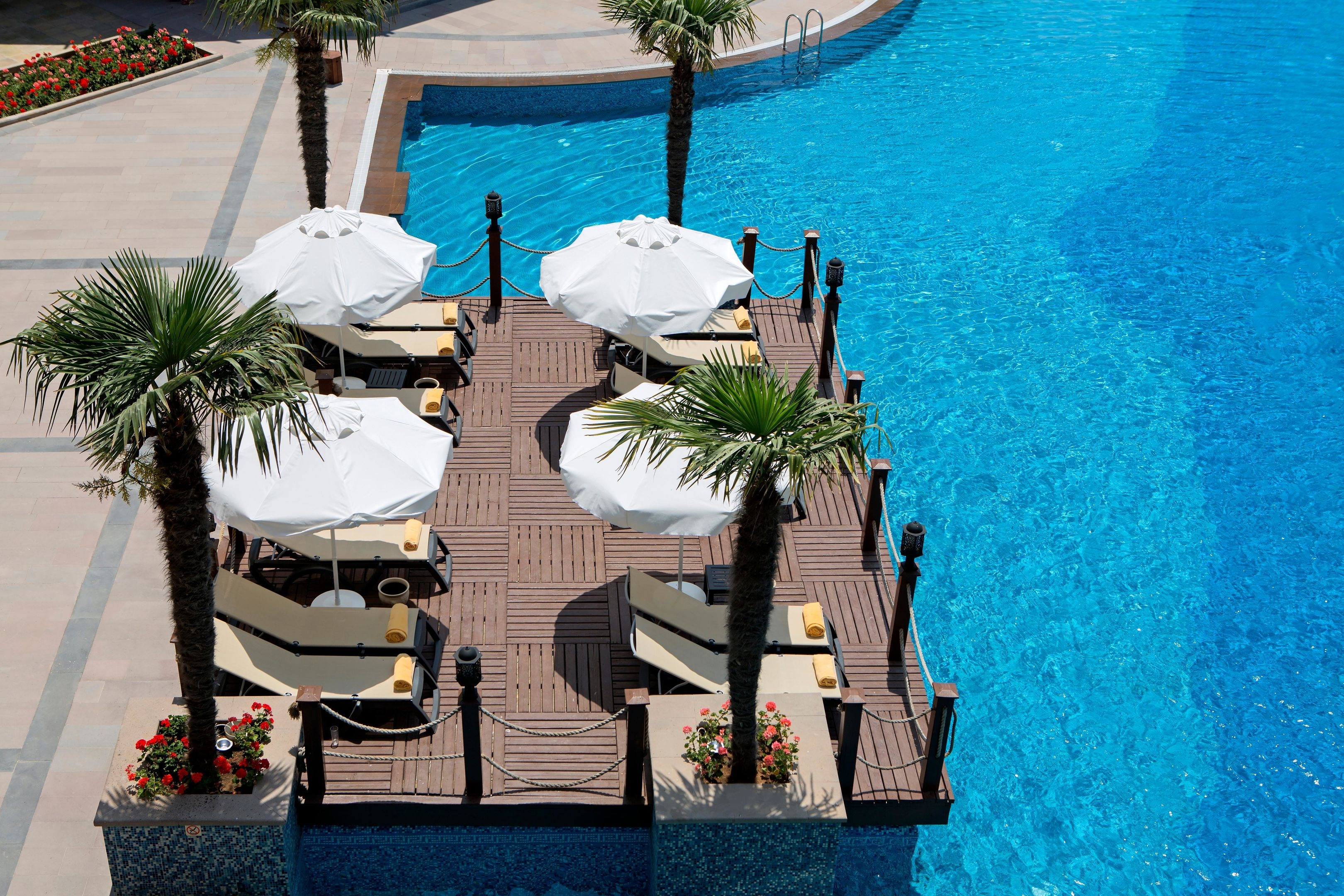 Papillon Zeugma Reluxury52
