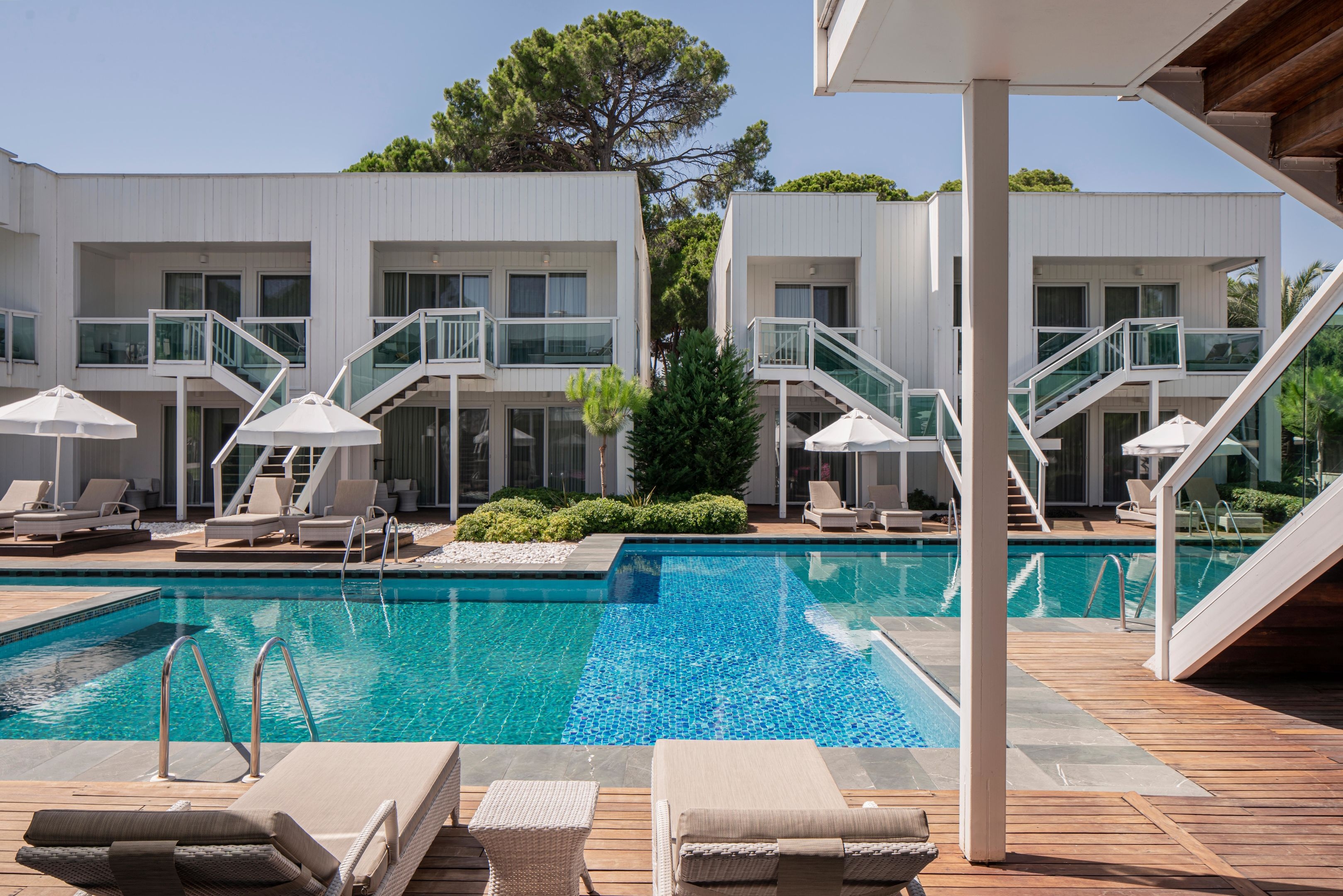 Papillon Zeugma Reluxury154