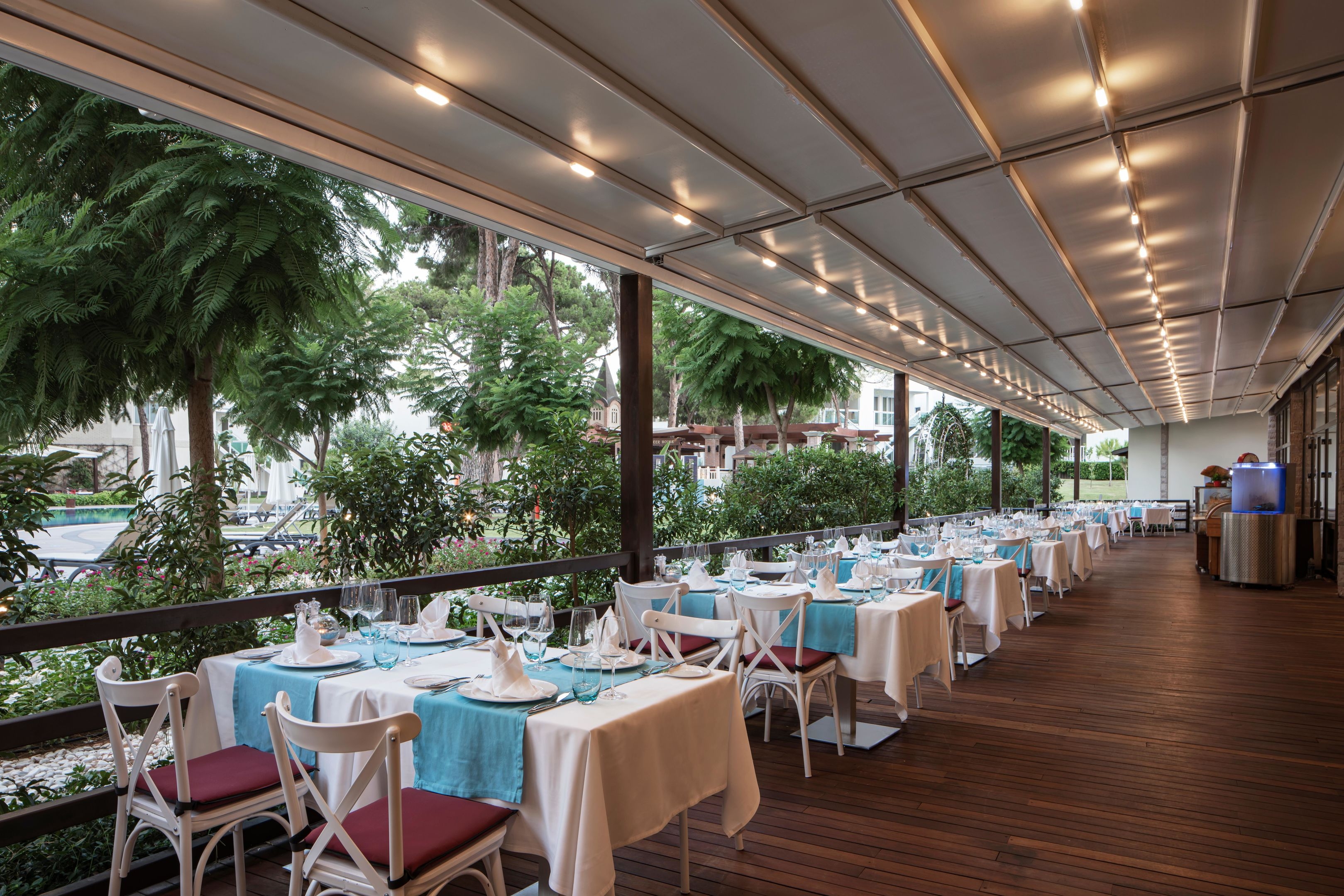 Papillon Zeugma Reluxury112