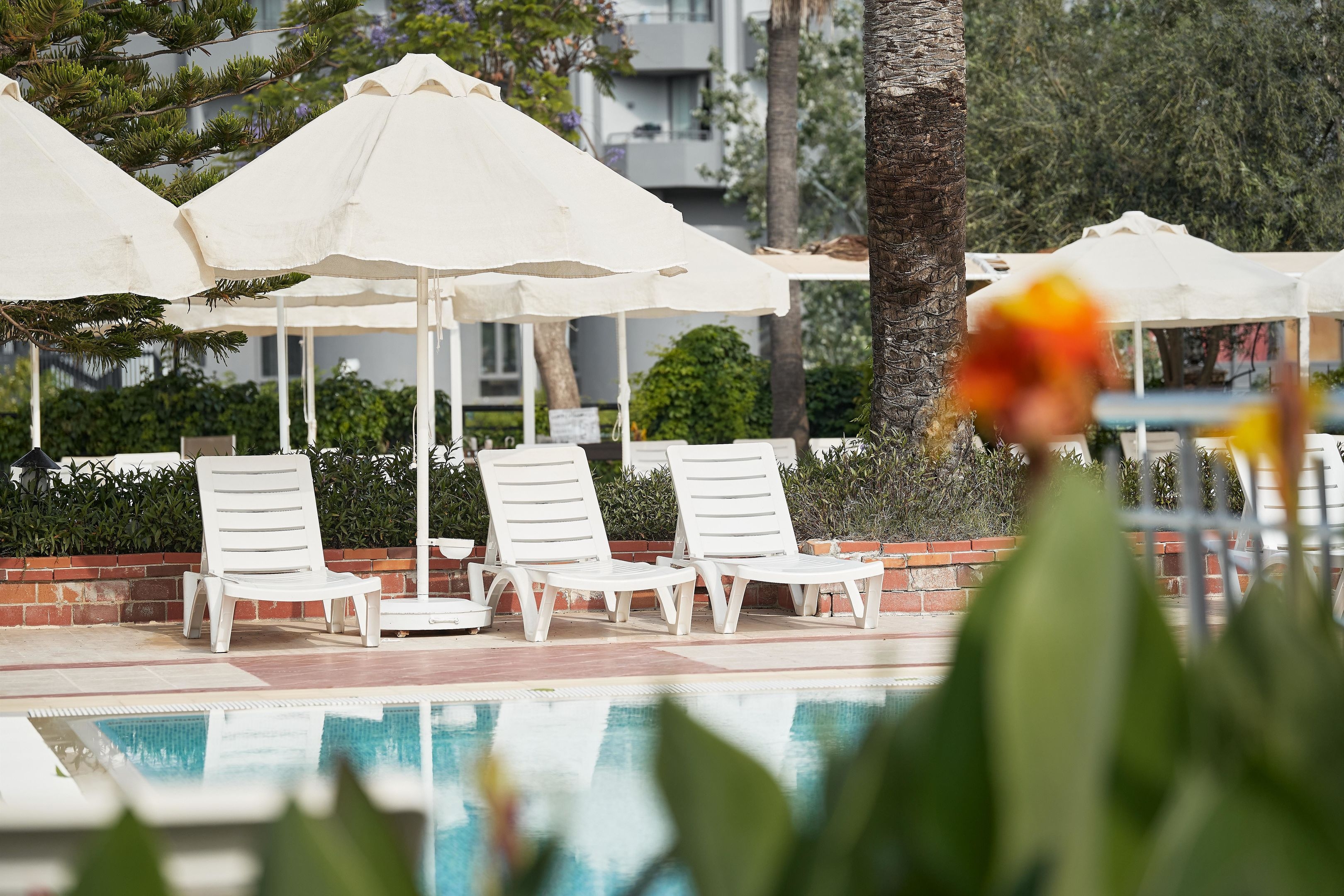 Seaden Corolla Hotel39