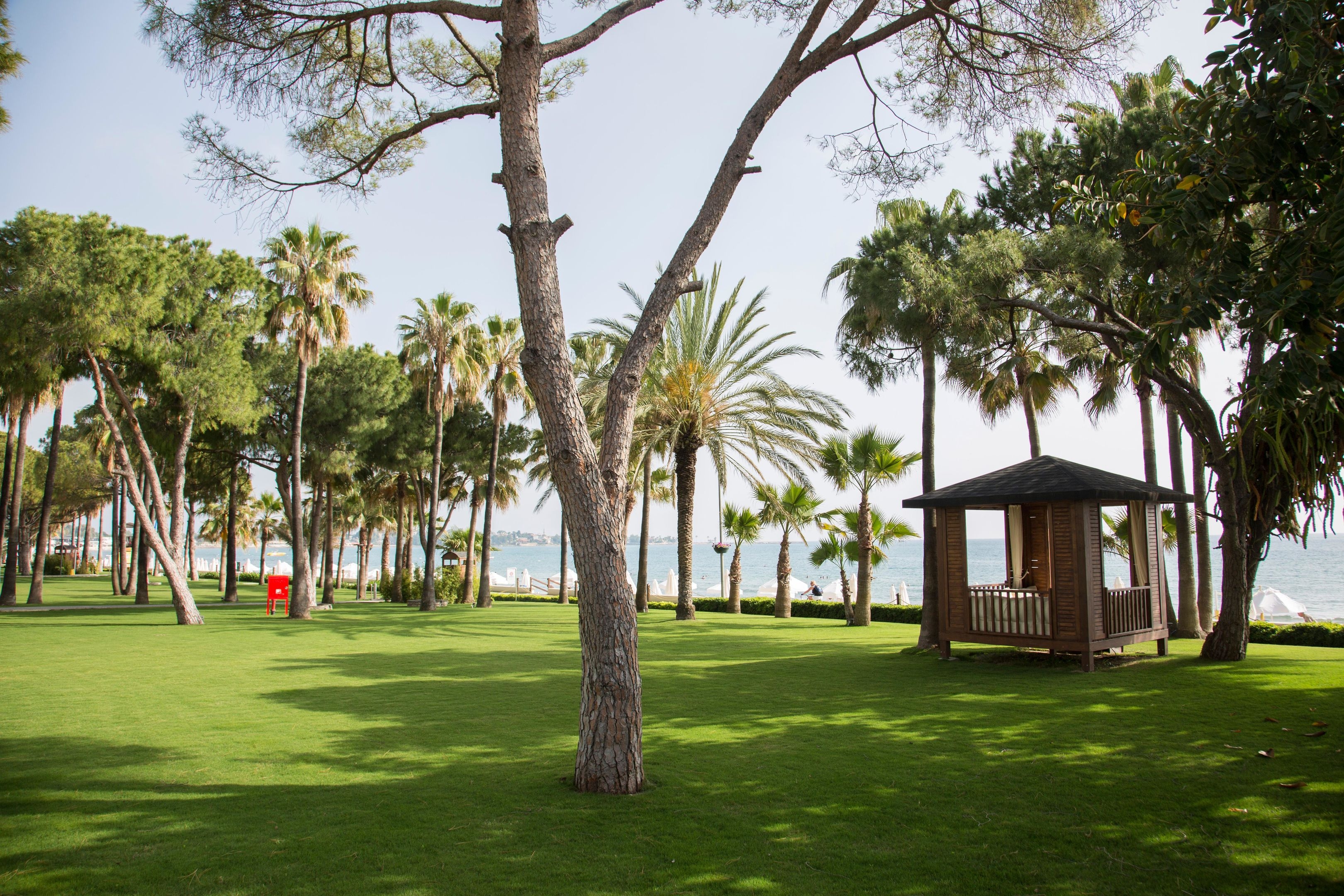 Acanthus & Cennet Barut Collection46