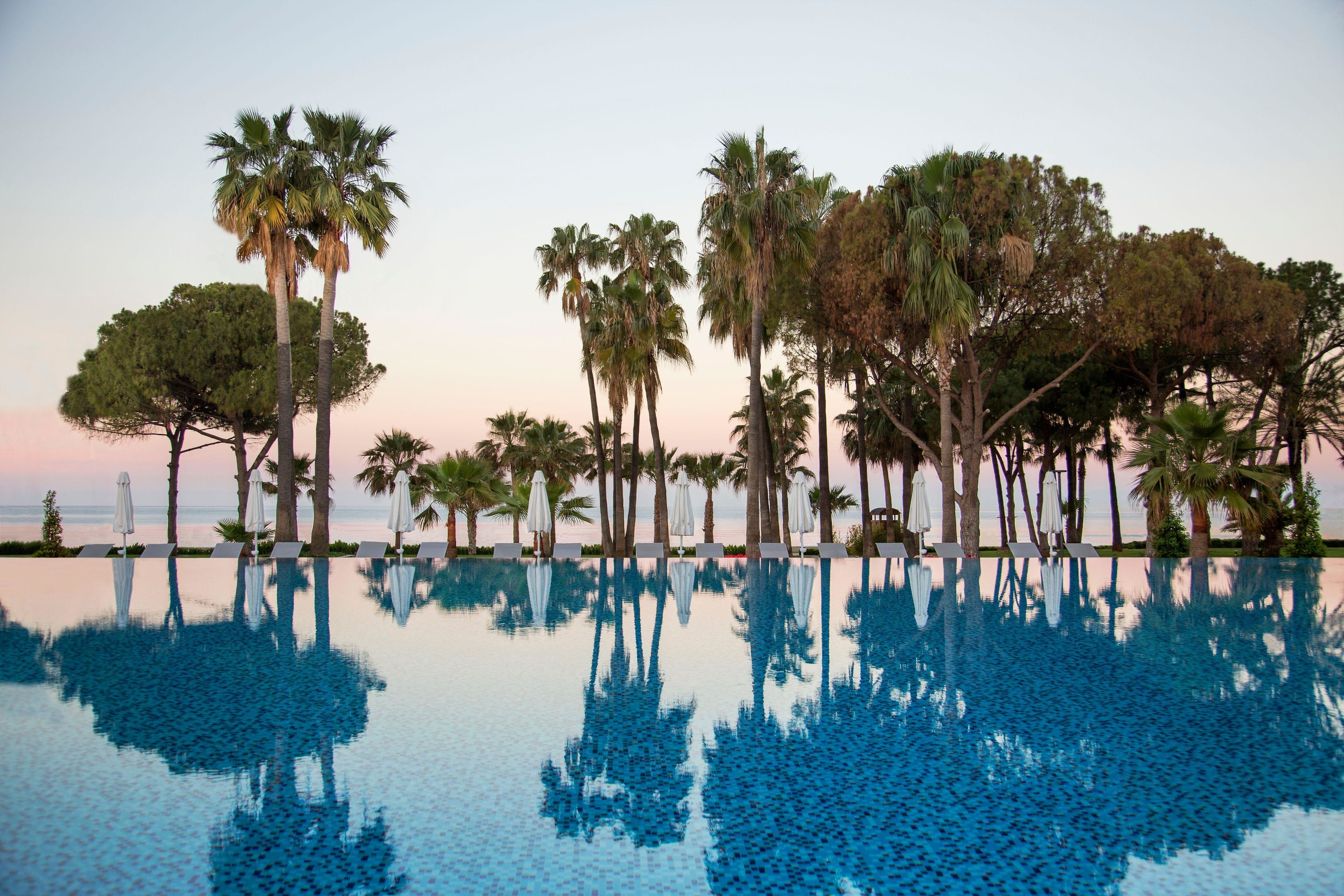 Acanthus & Cennet Barut Collection72