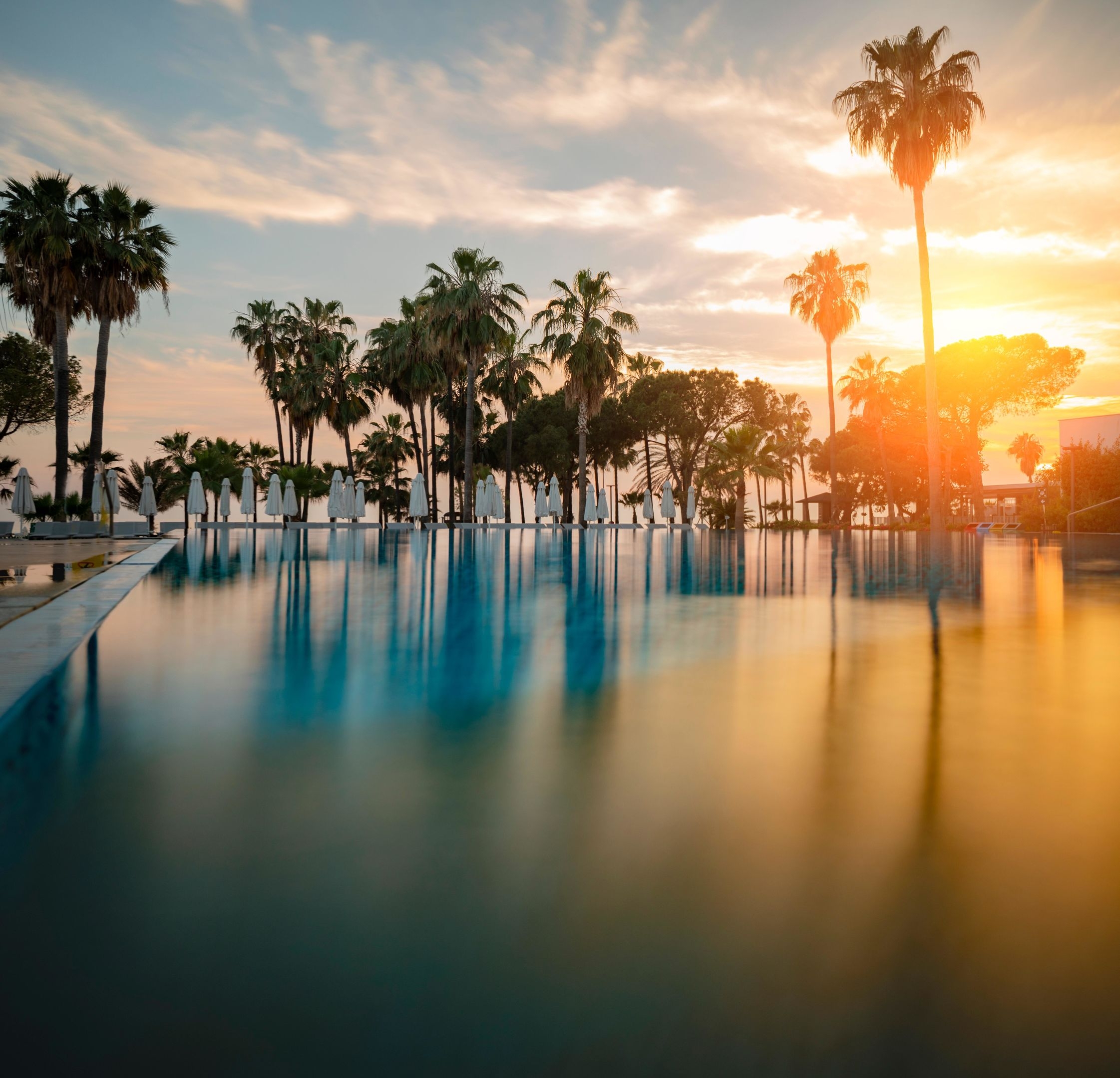 Acanthus & Cennet Barut Collection74