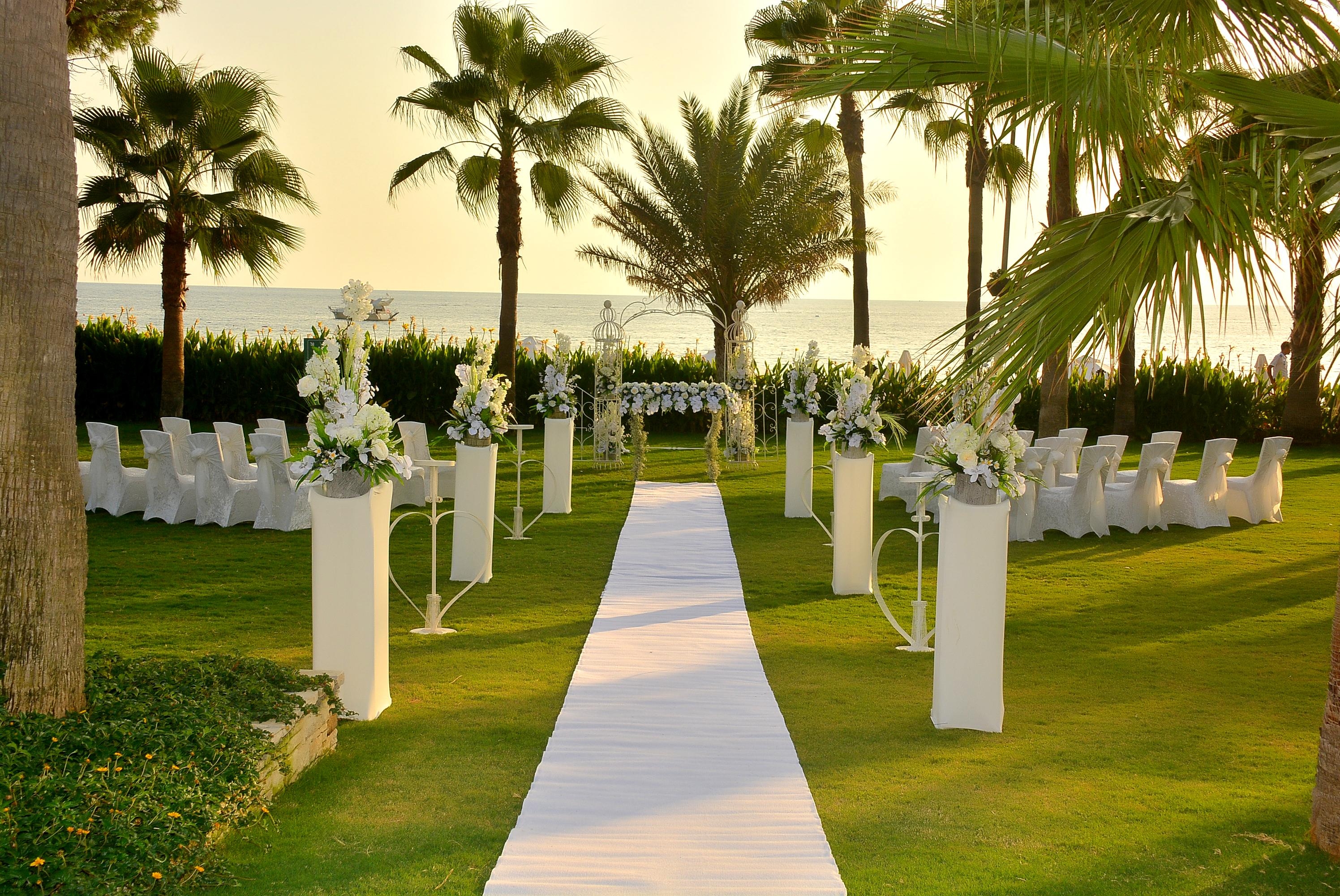 Acanthus & Cennet Barut Collection73