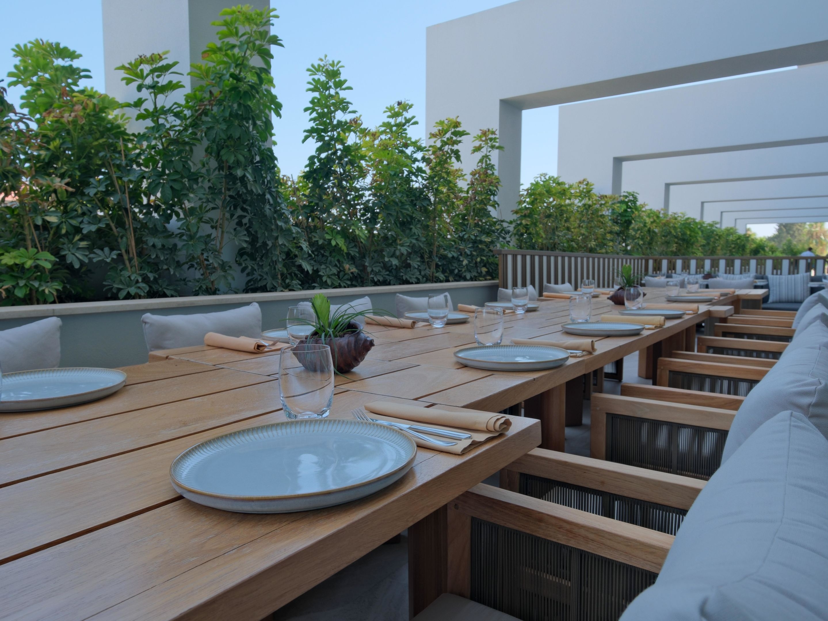 Acanthus & Cennet Barut Collection84