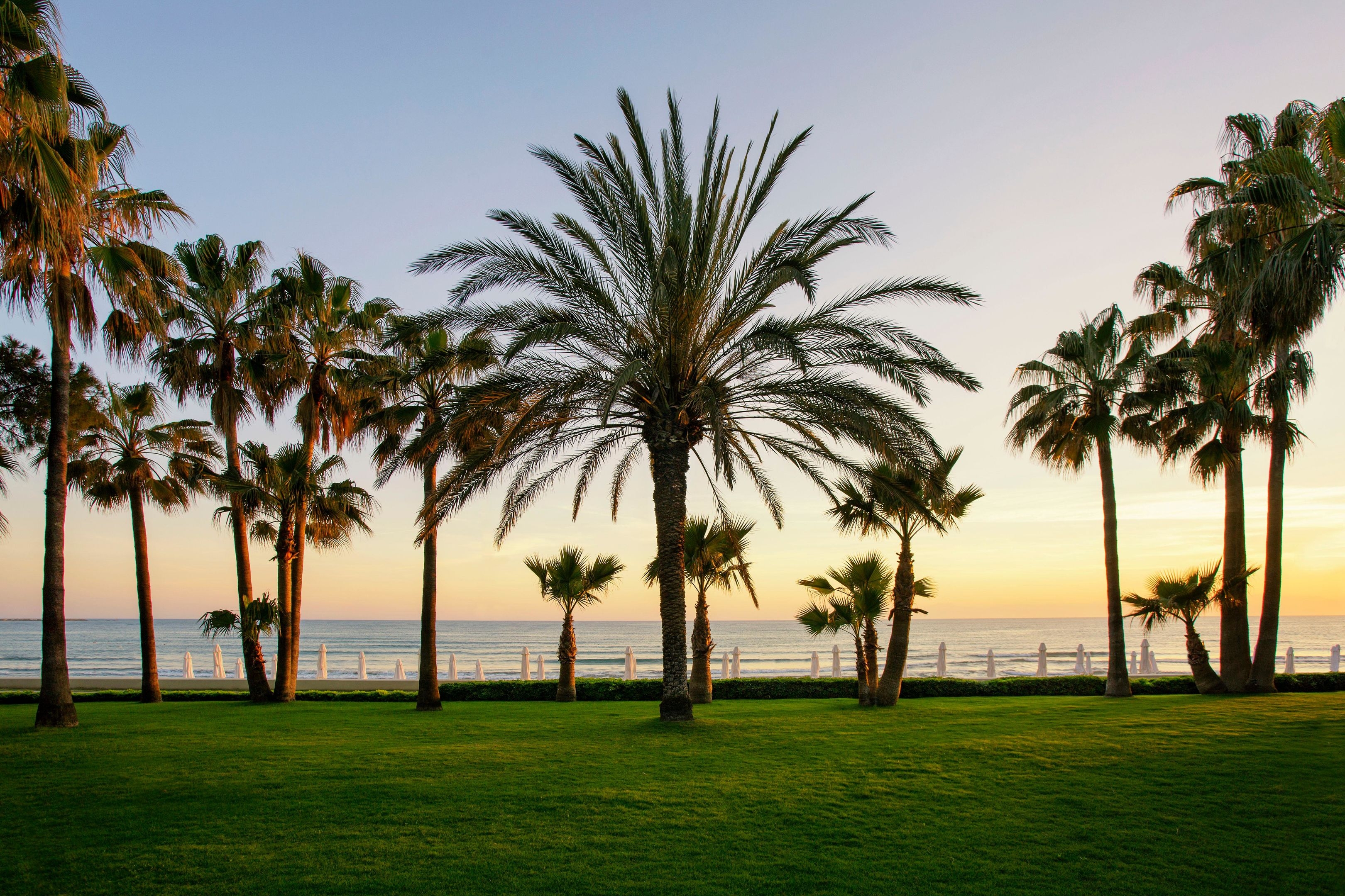 Acanthus & Cennet Barut Collection42