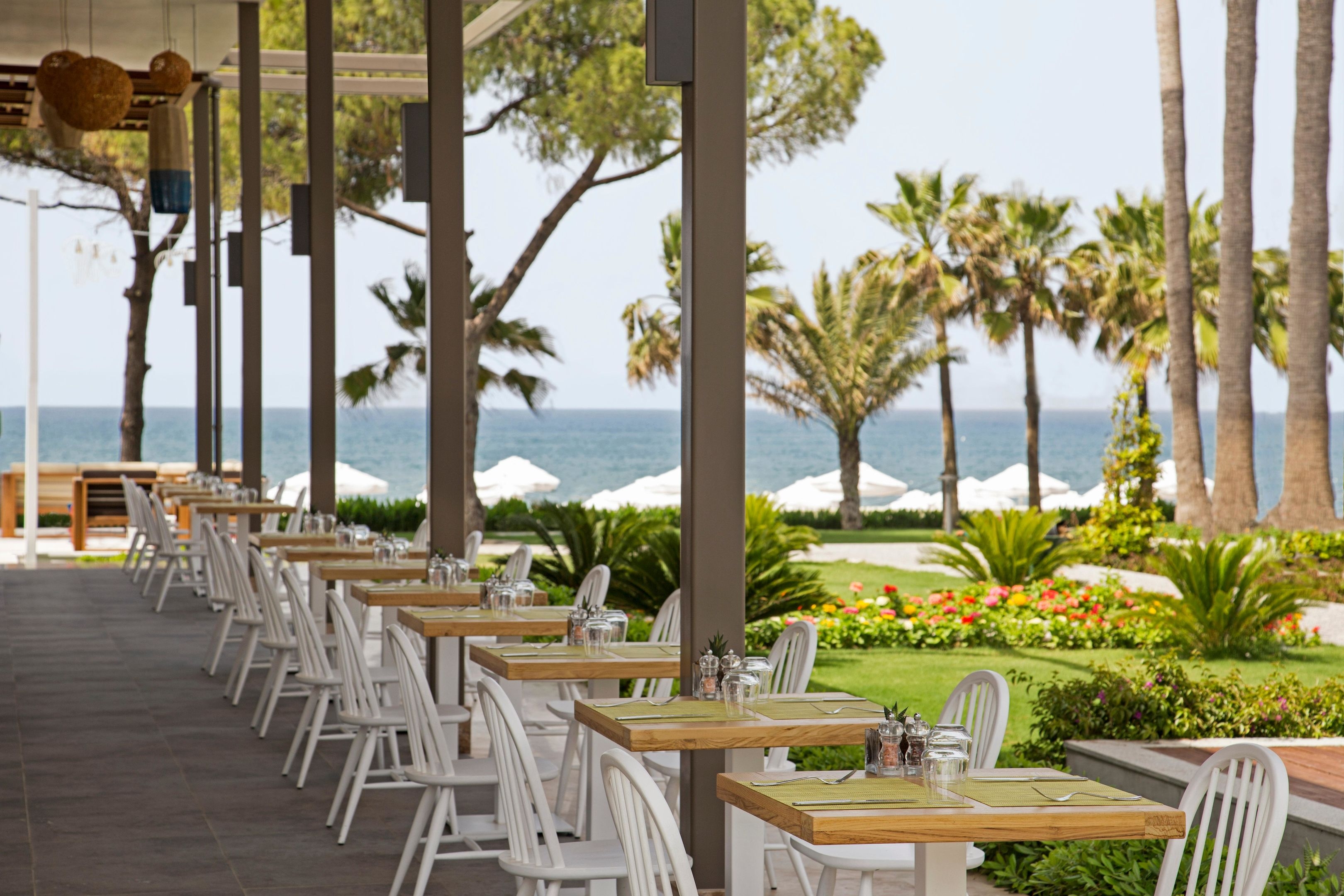 Acanthus & Cennet Barut Collection95