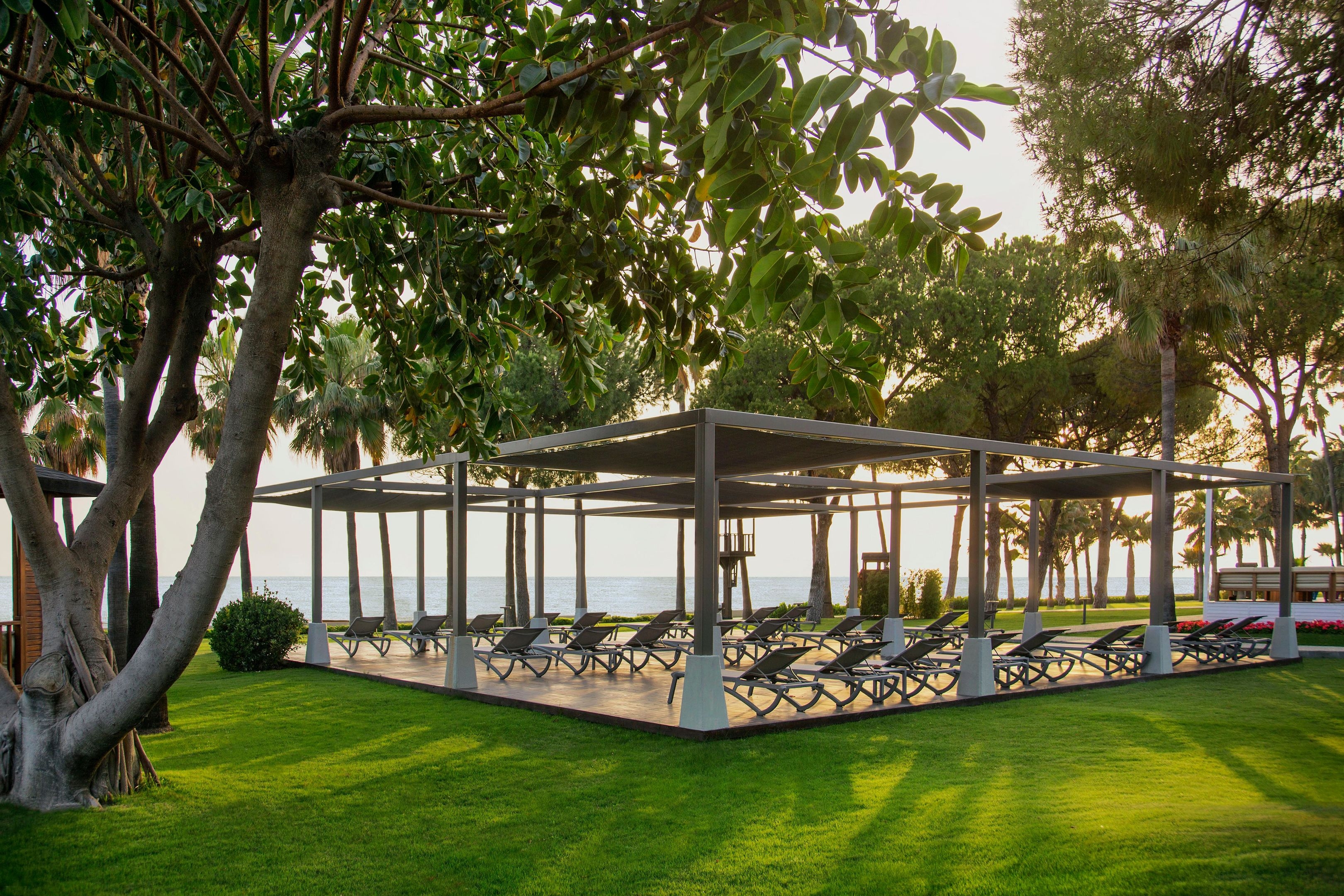 Acanthus & Cennet Barut Collection36