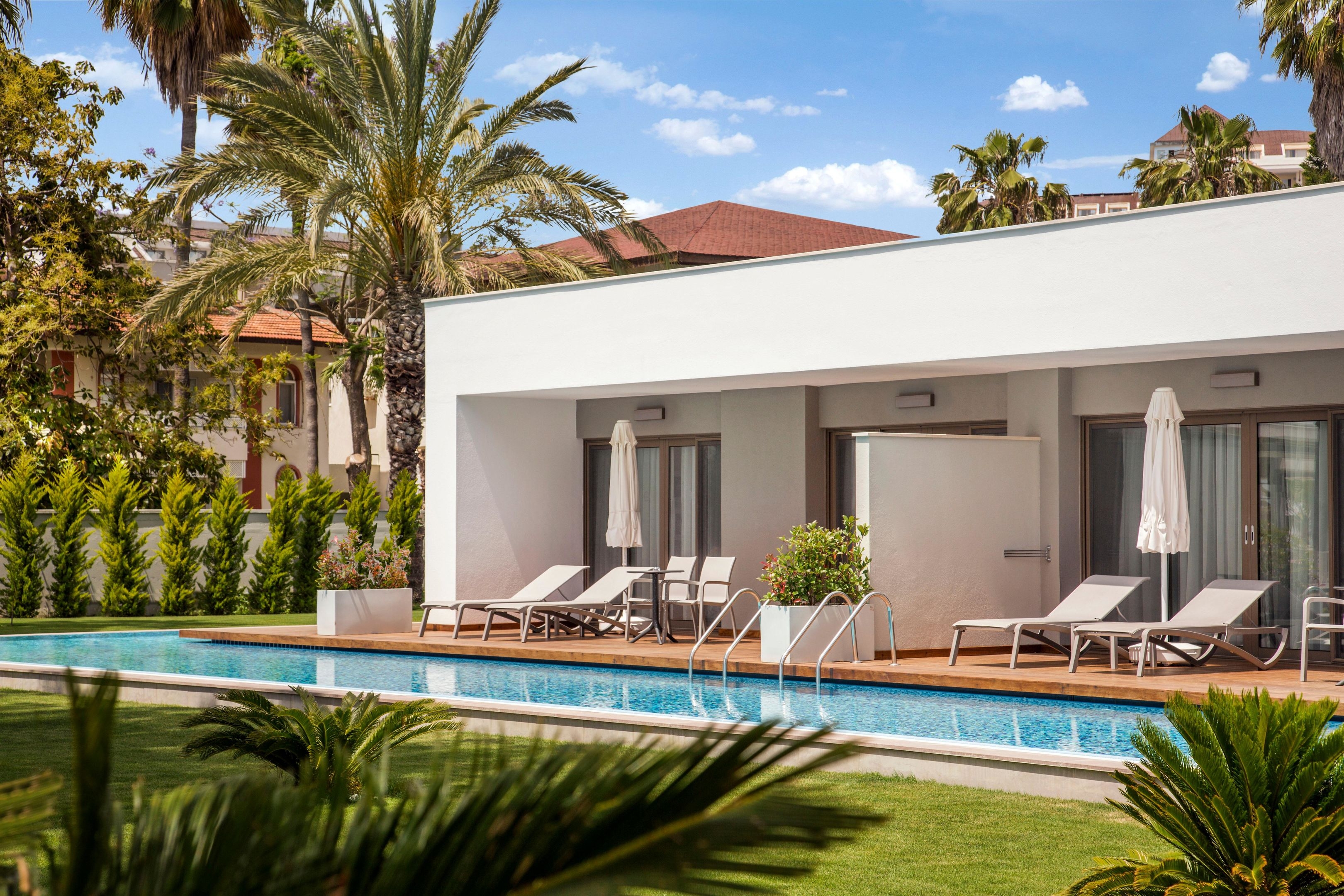 Acanthus & Cennet Barut Collection89