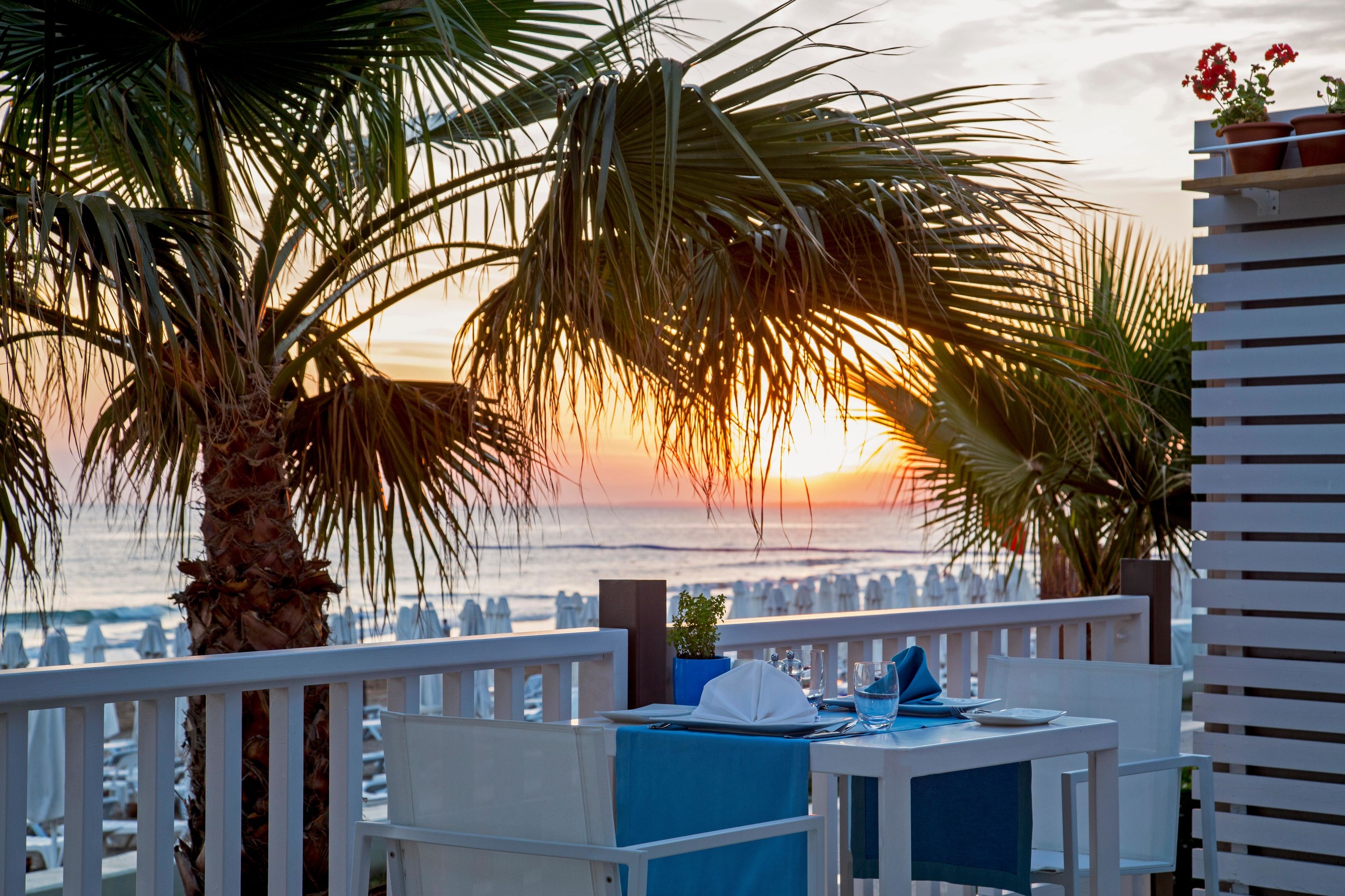 Acanthus & Cennet Barut Collection75