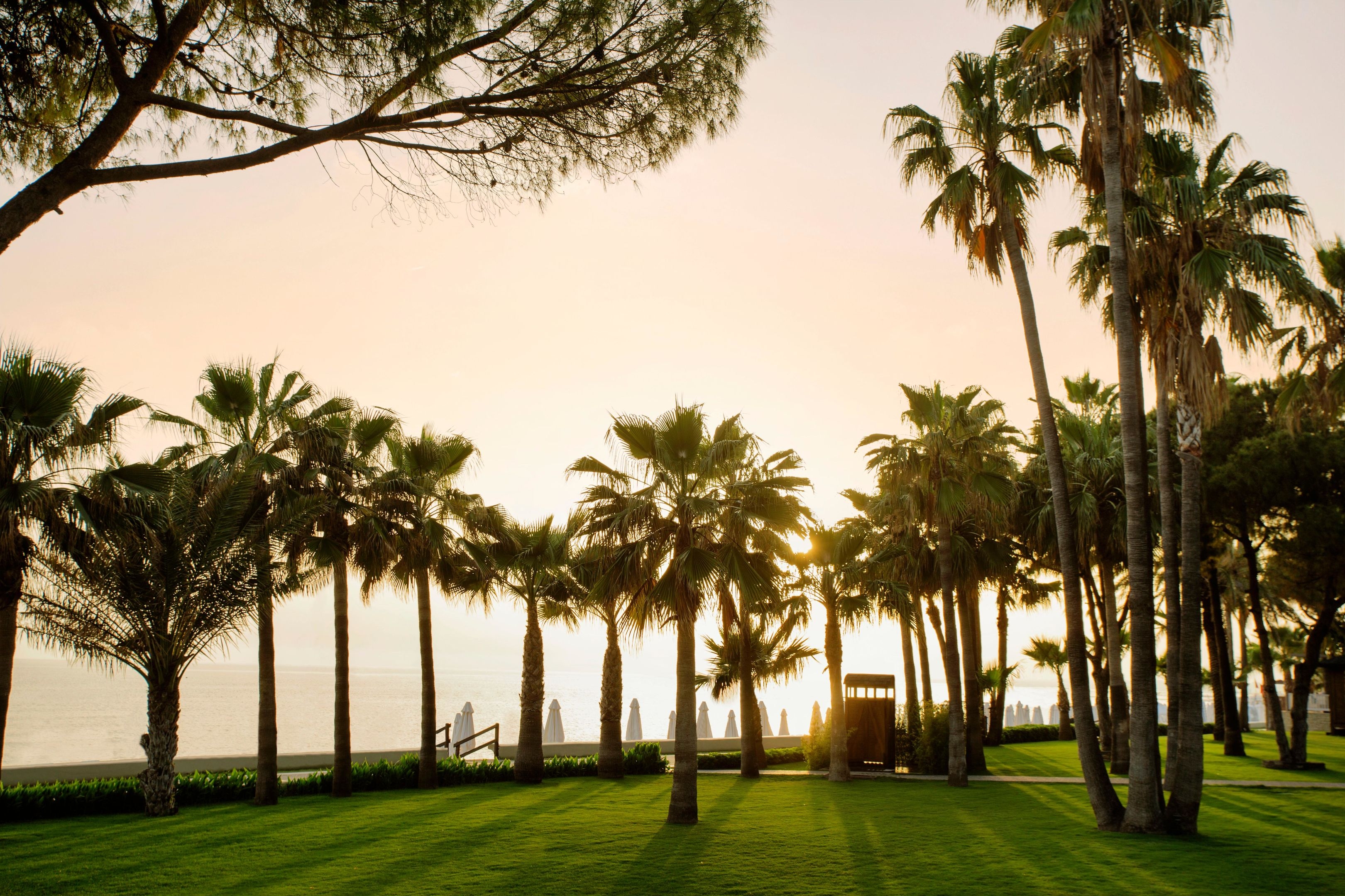 Acanthus & Cennet Barut Collection31