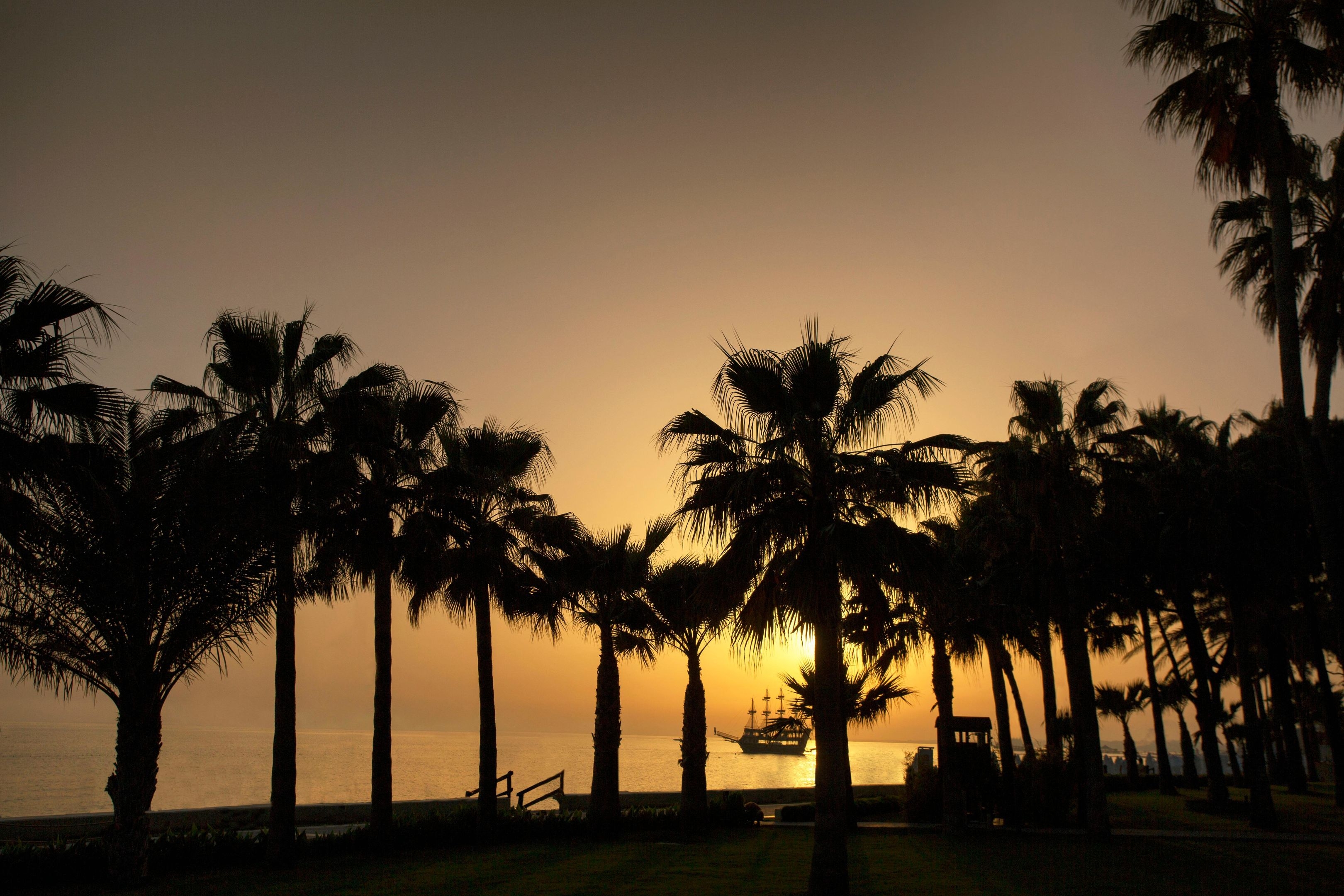 Acanthus & Cennet Barut Collection33