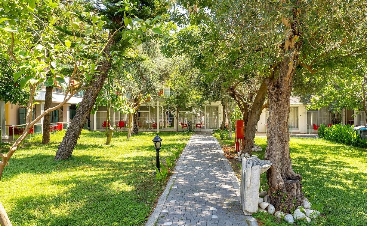 Clover Magic Altinkum Park Side2