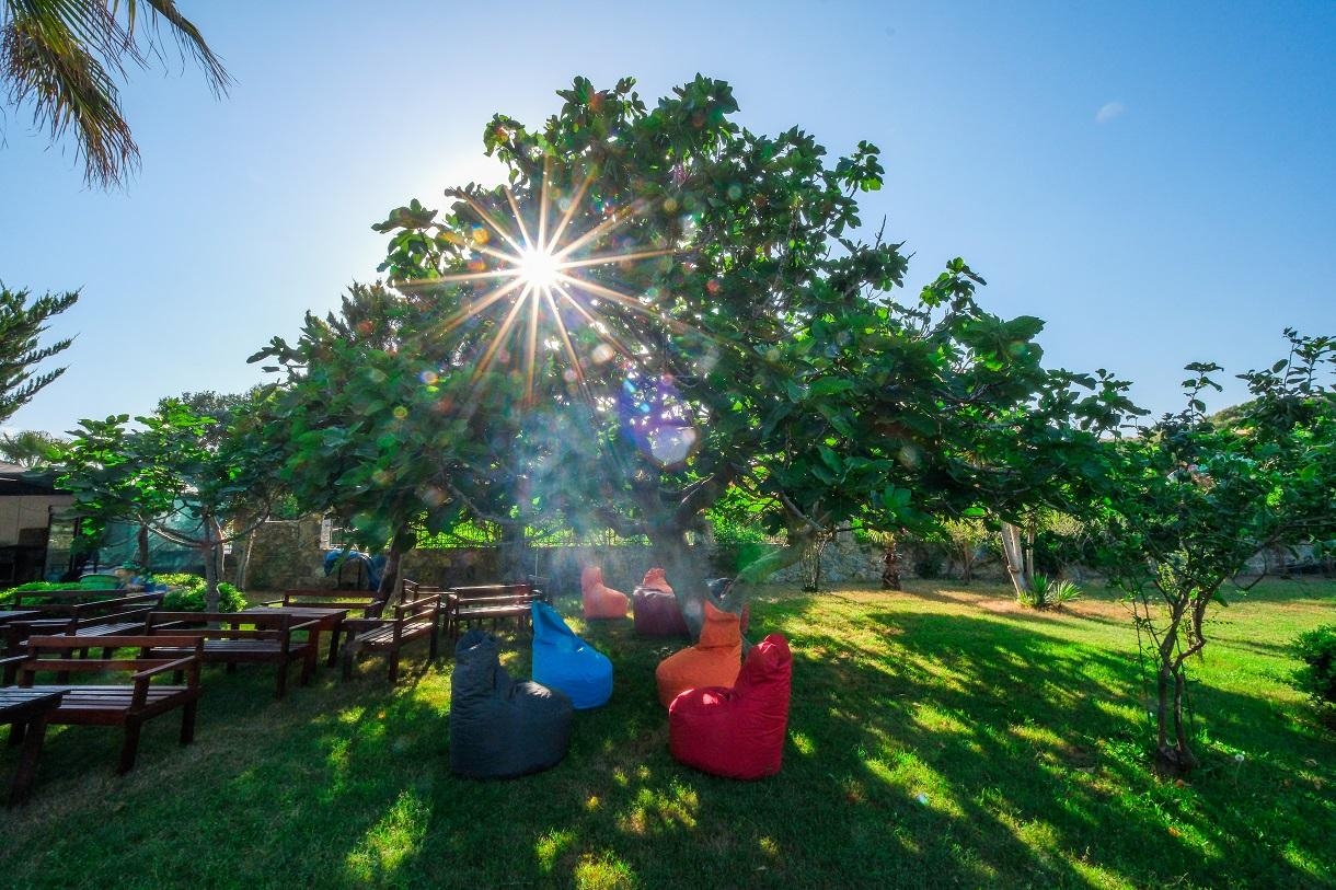 Clover Magic Garden Beach(Ex.Mediterranean Breeze Hotel)17