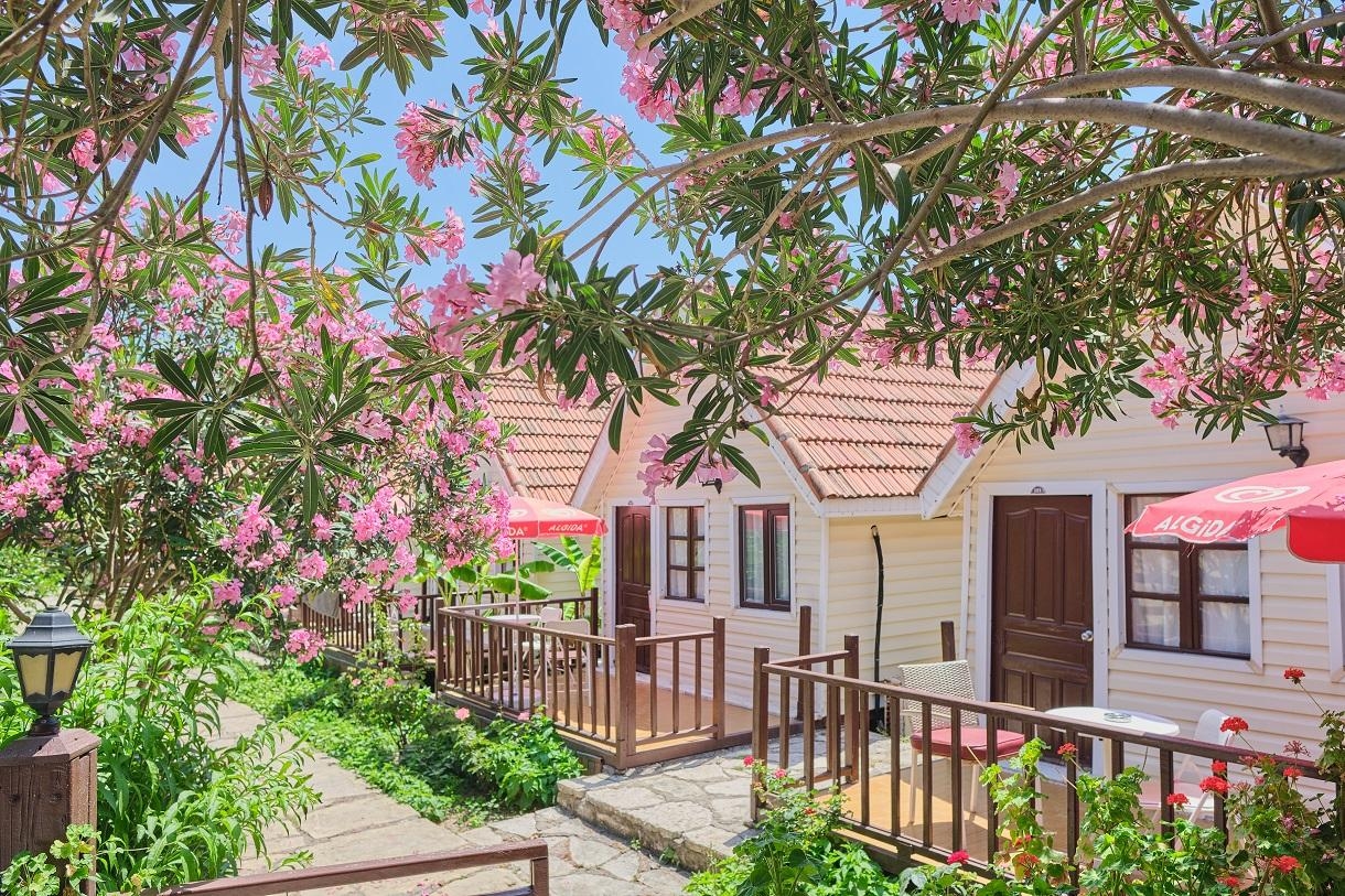 Clover Magic Nova Beach ( Ex.Nova Beach Hotel)5