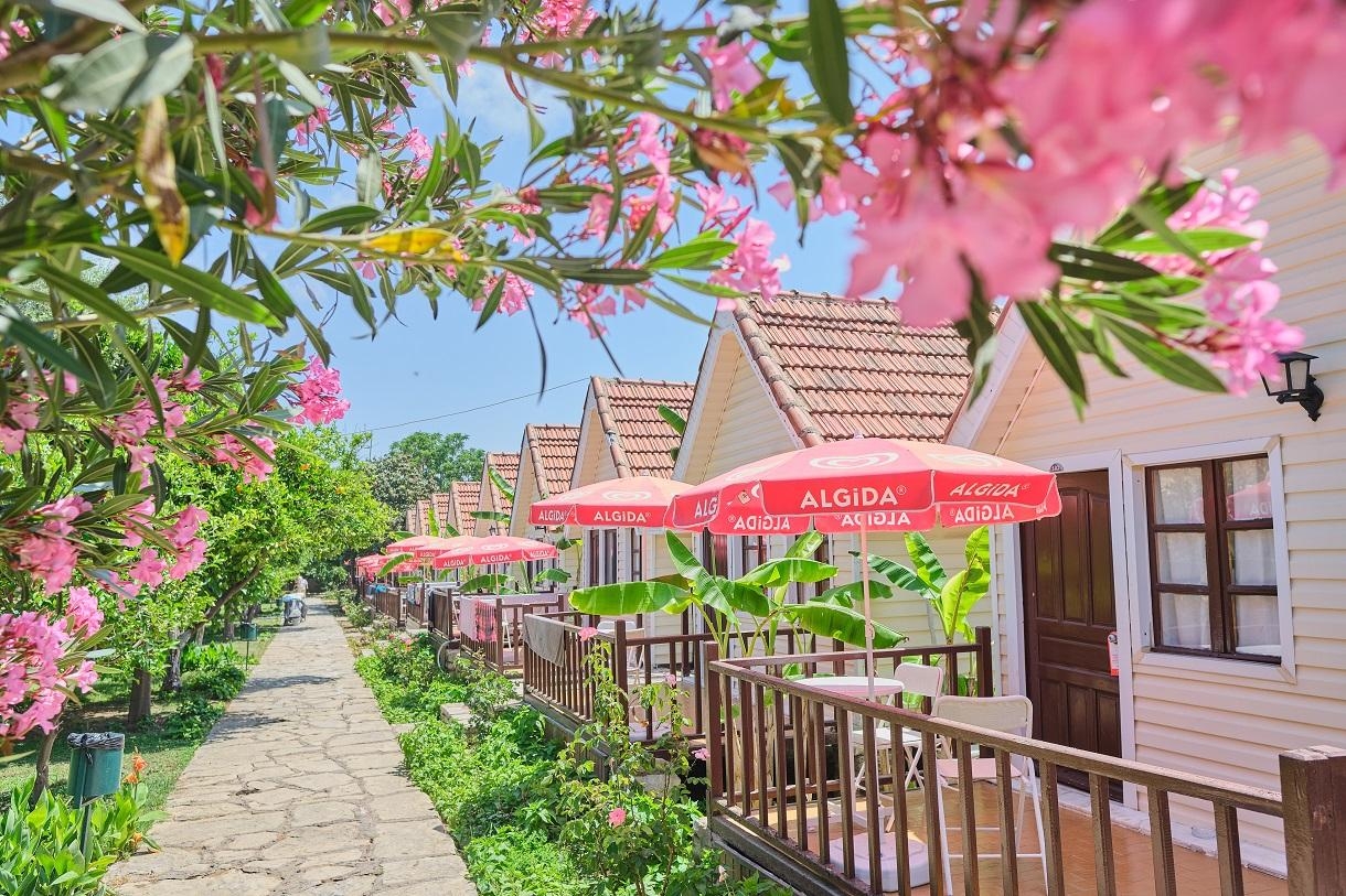 Clover Magic Nova Beach ( Ex.Nova Beach Hotel)6