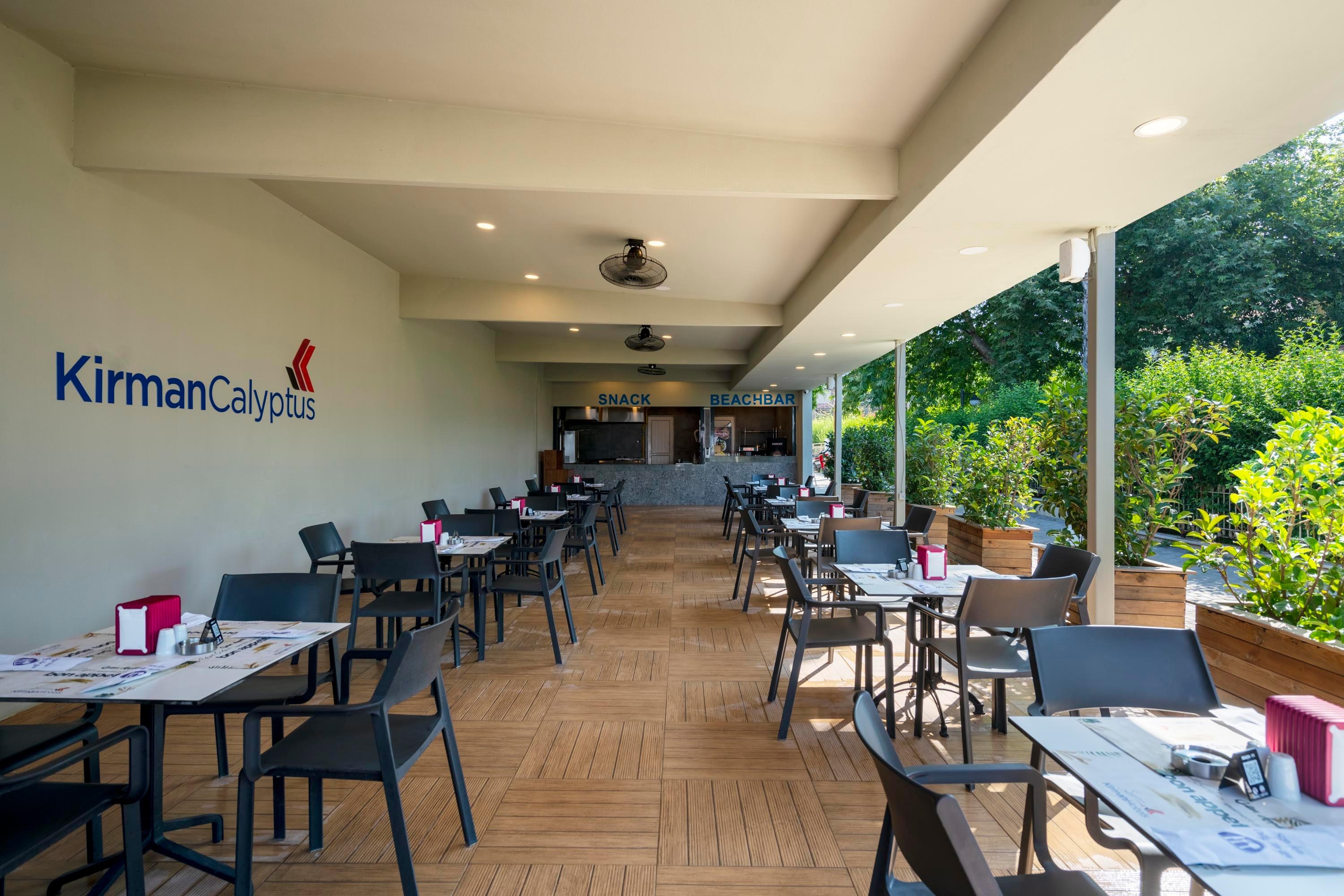 Calyptus Kirman Premium34