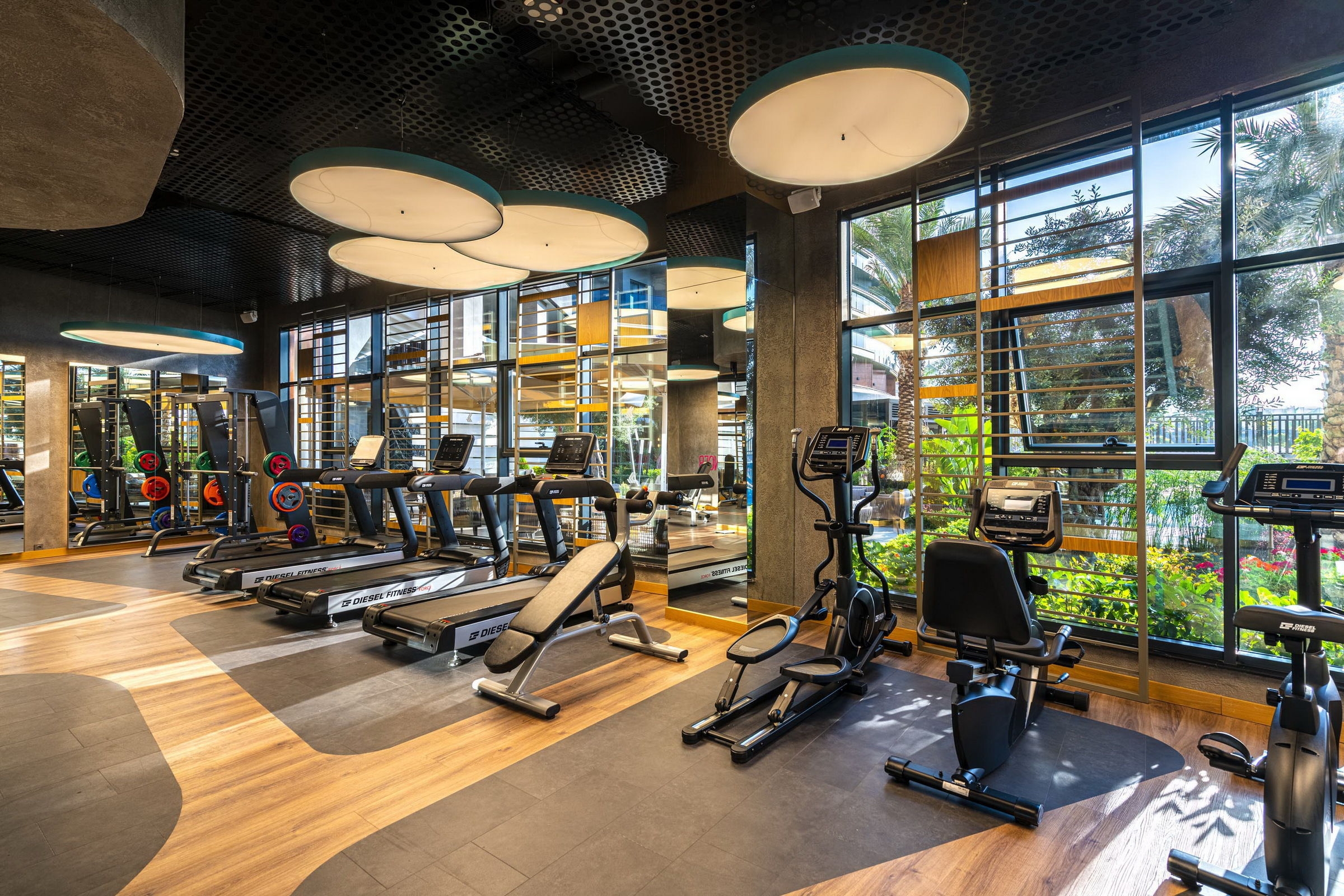 Calyptus Kirman Premium107